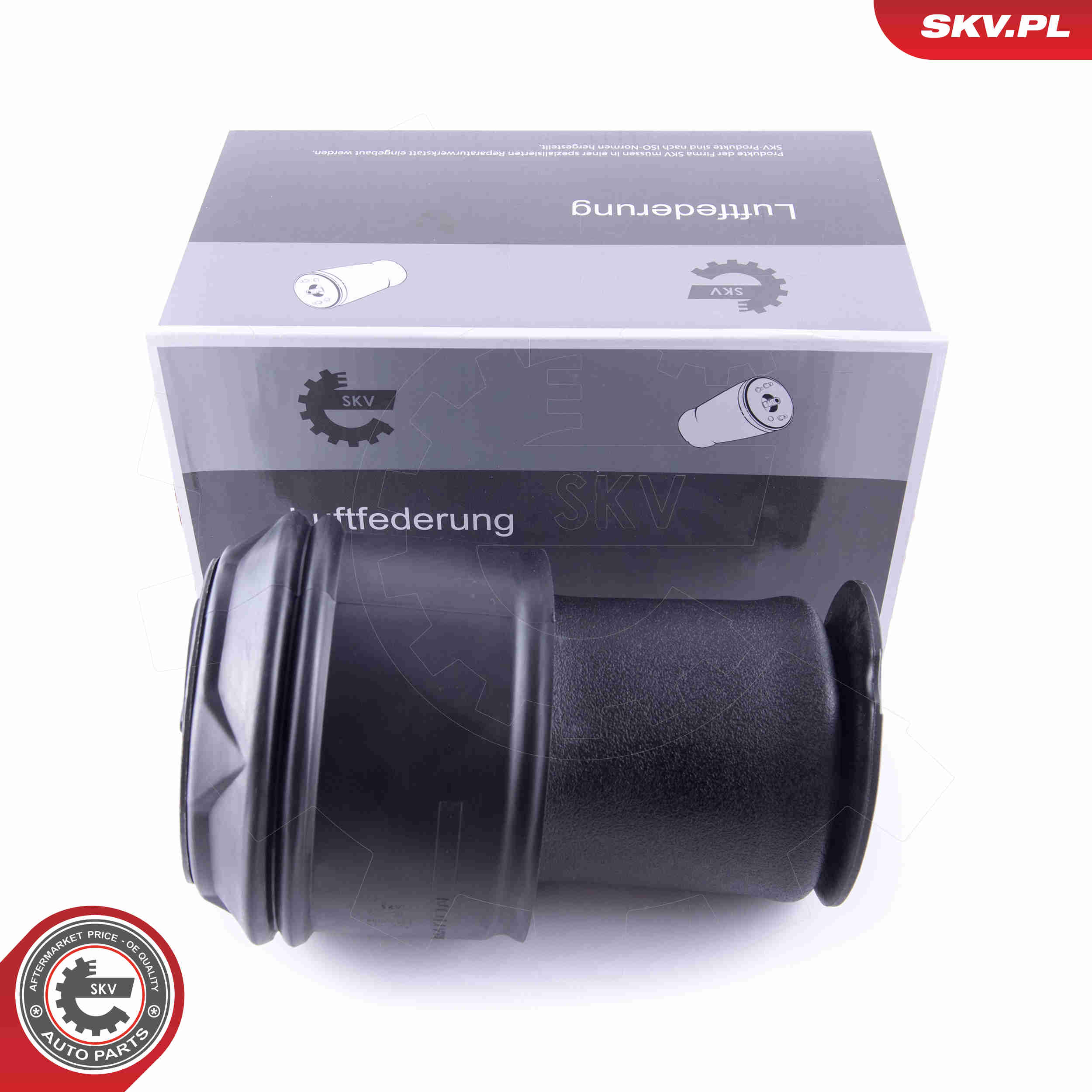 Molla pneumatica, Autotelaio - 58SKV023 ESEN SKV