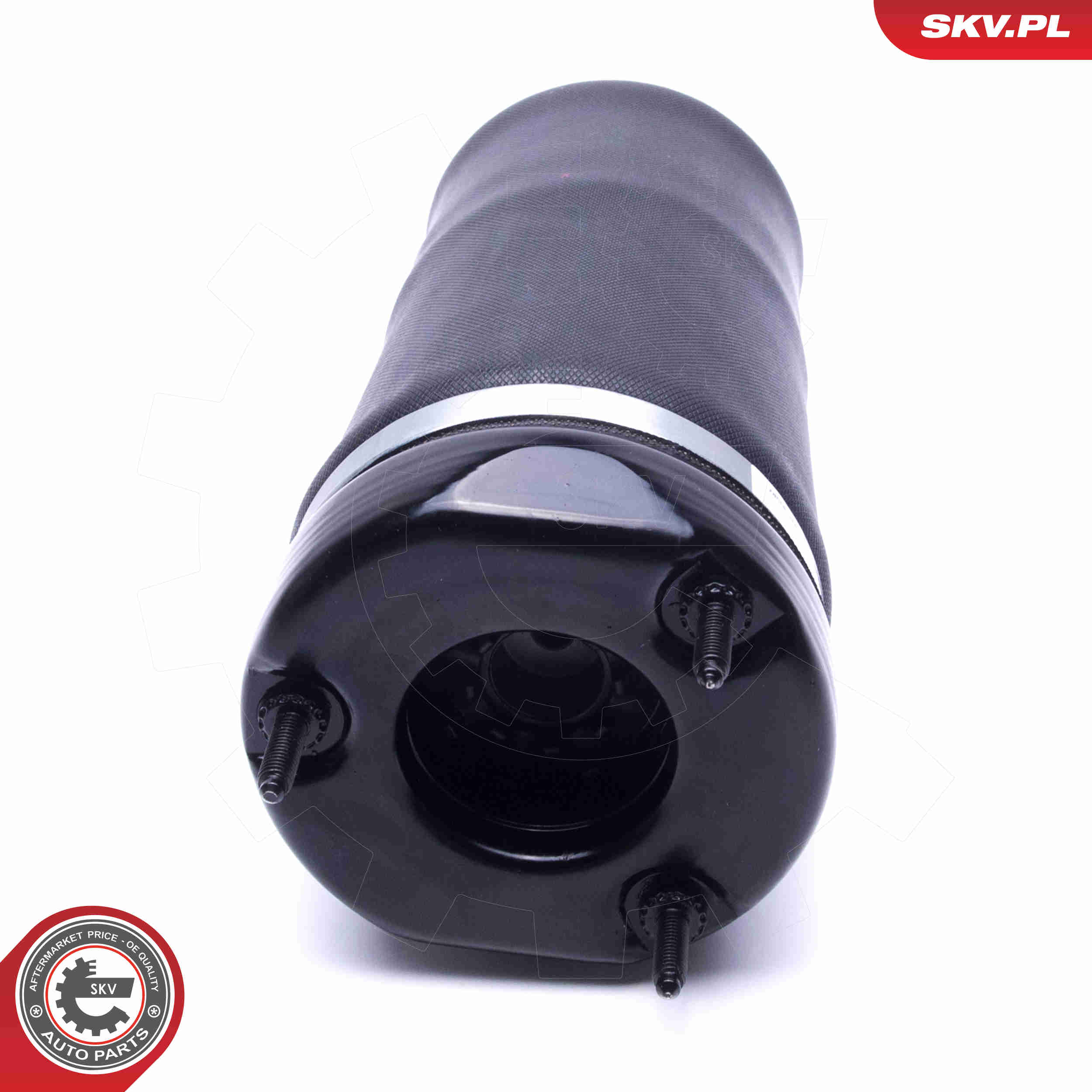 Air Spring Strut - 58SKV066 ESEN SKV