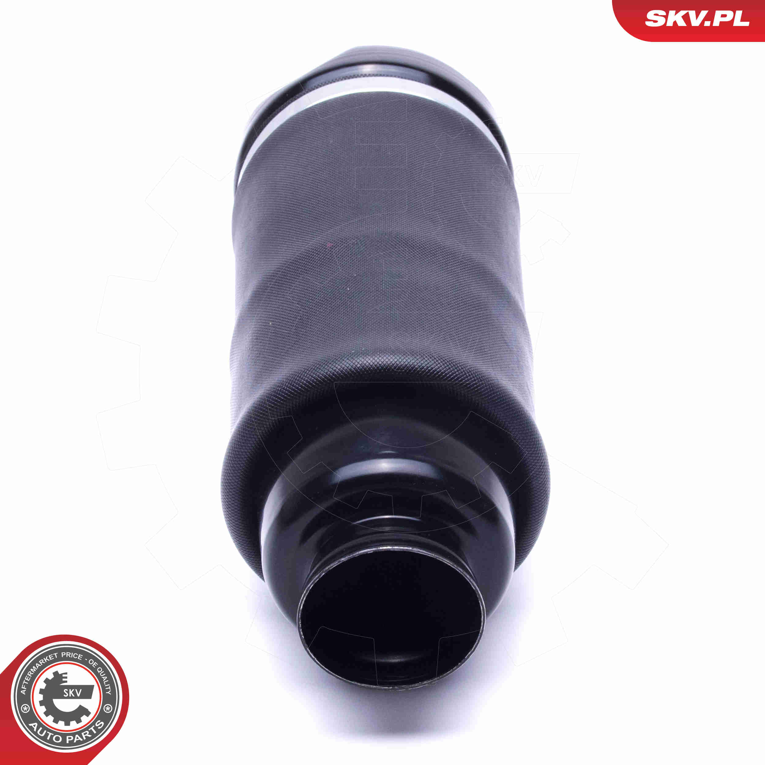 Air Spring Strut - 58SKV066 ESEN SKV