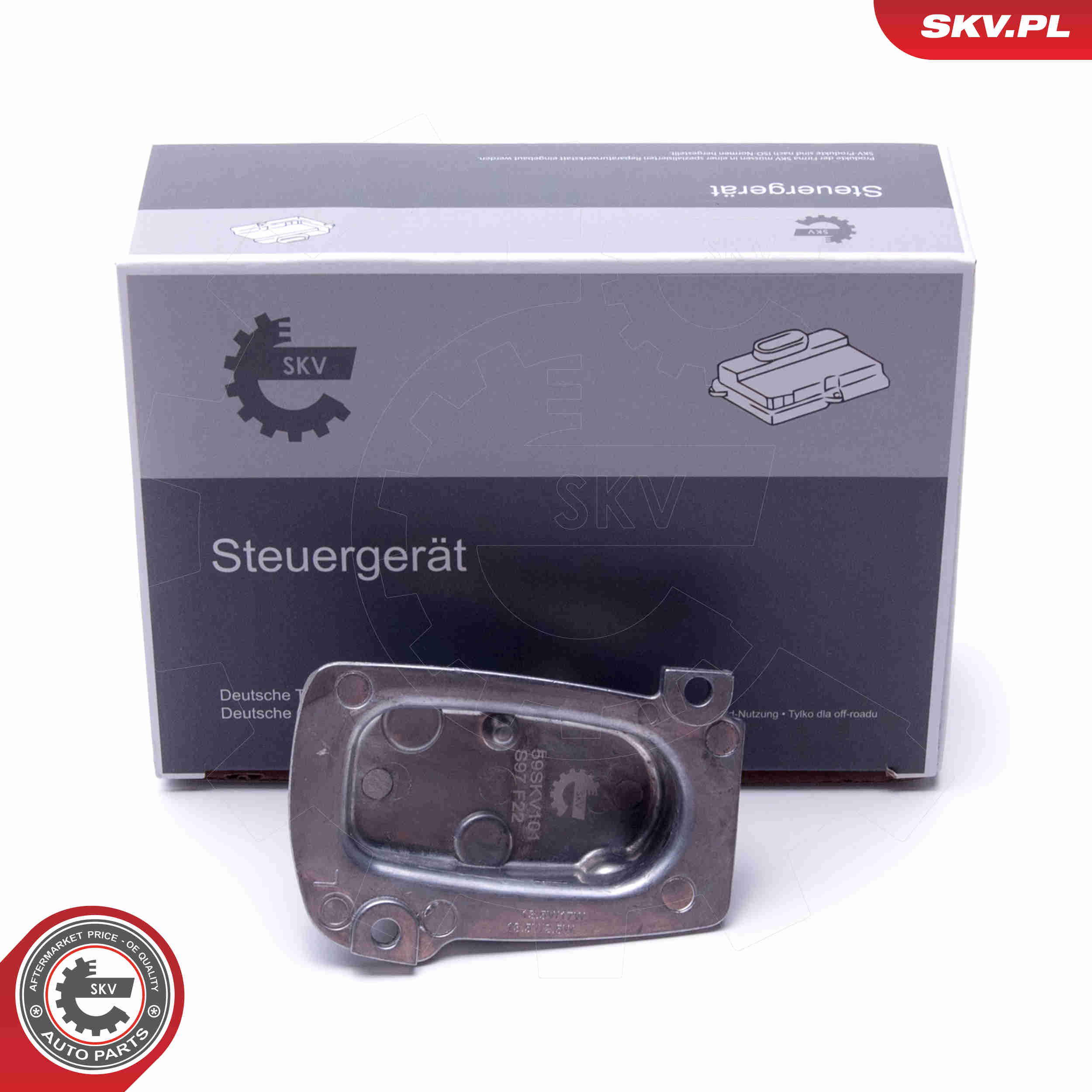 Steuergerät, Beleuchtung - 59SKV101 ESEN SKV