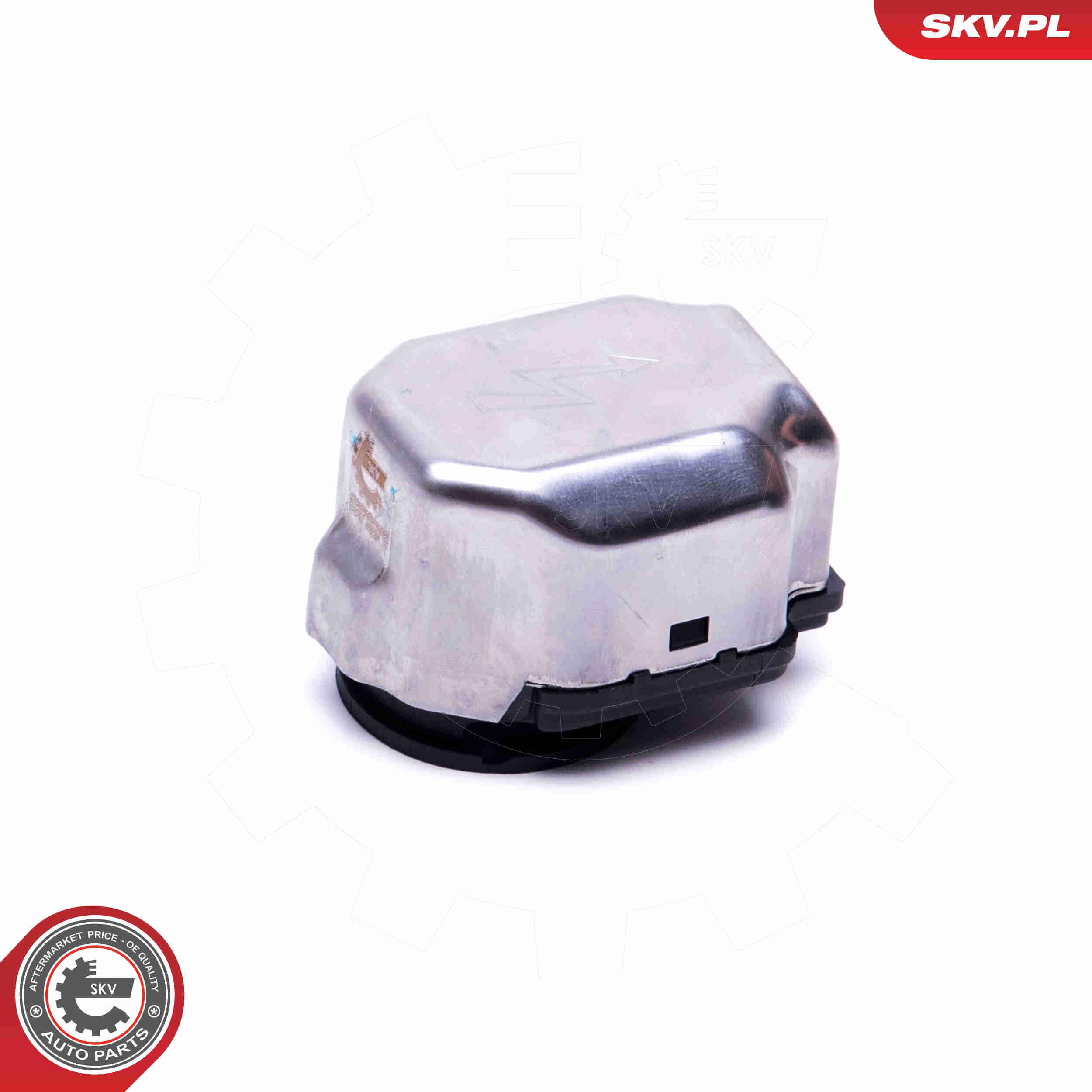 Control Unit, lights - 59SKV182 ESEN SKV