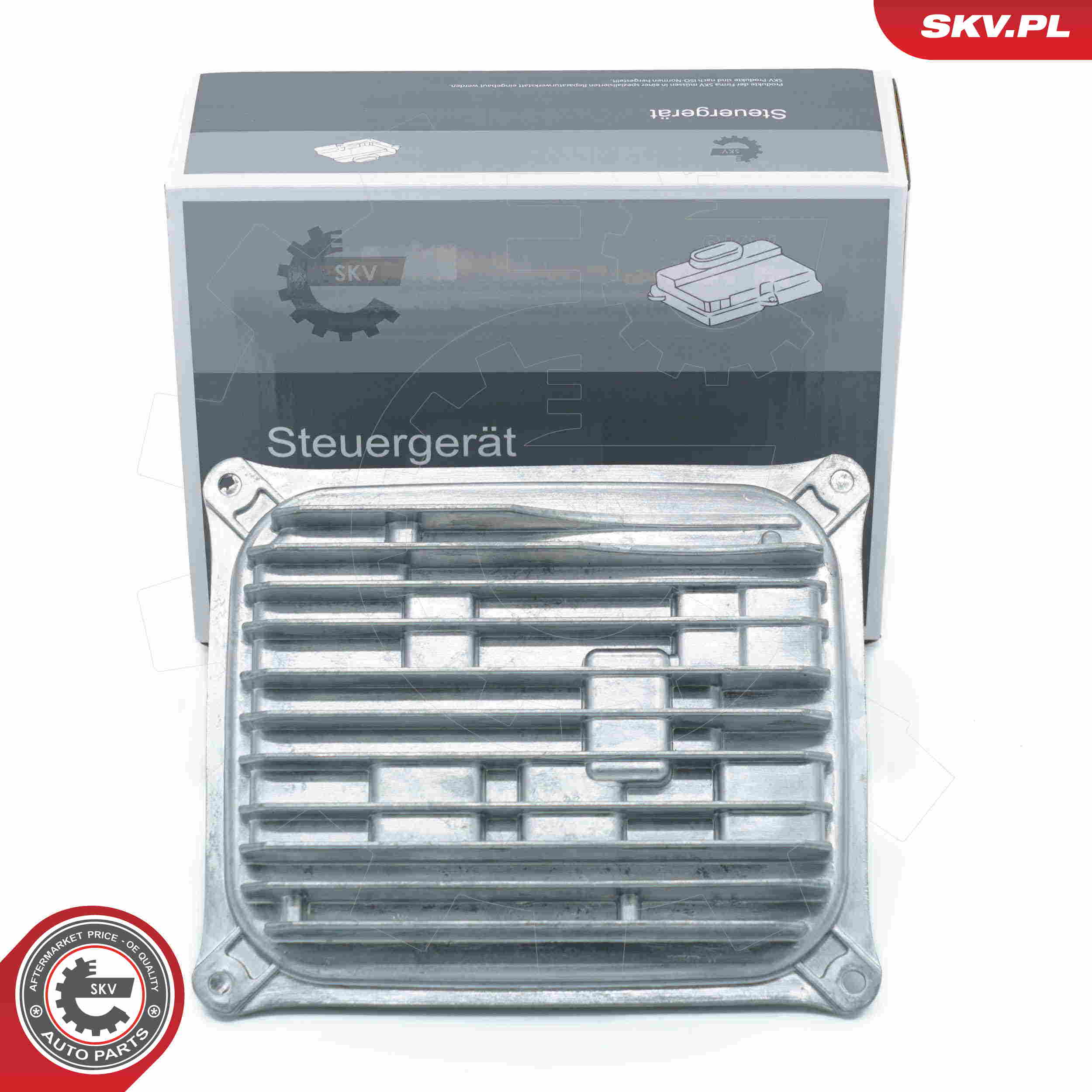 Steuergerät, Beleuchtung - 59SKV184 ESEN SKV