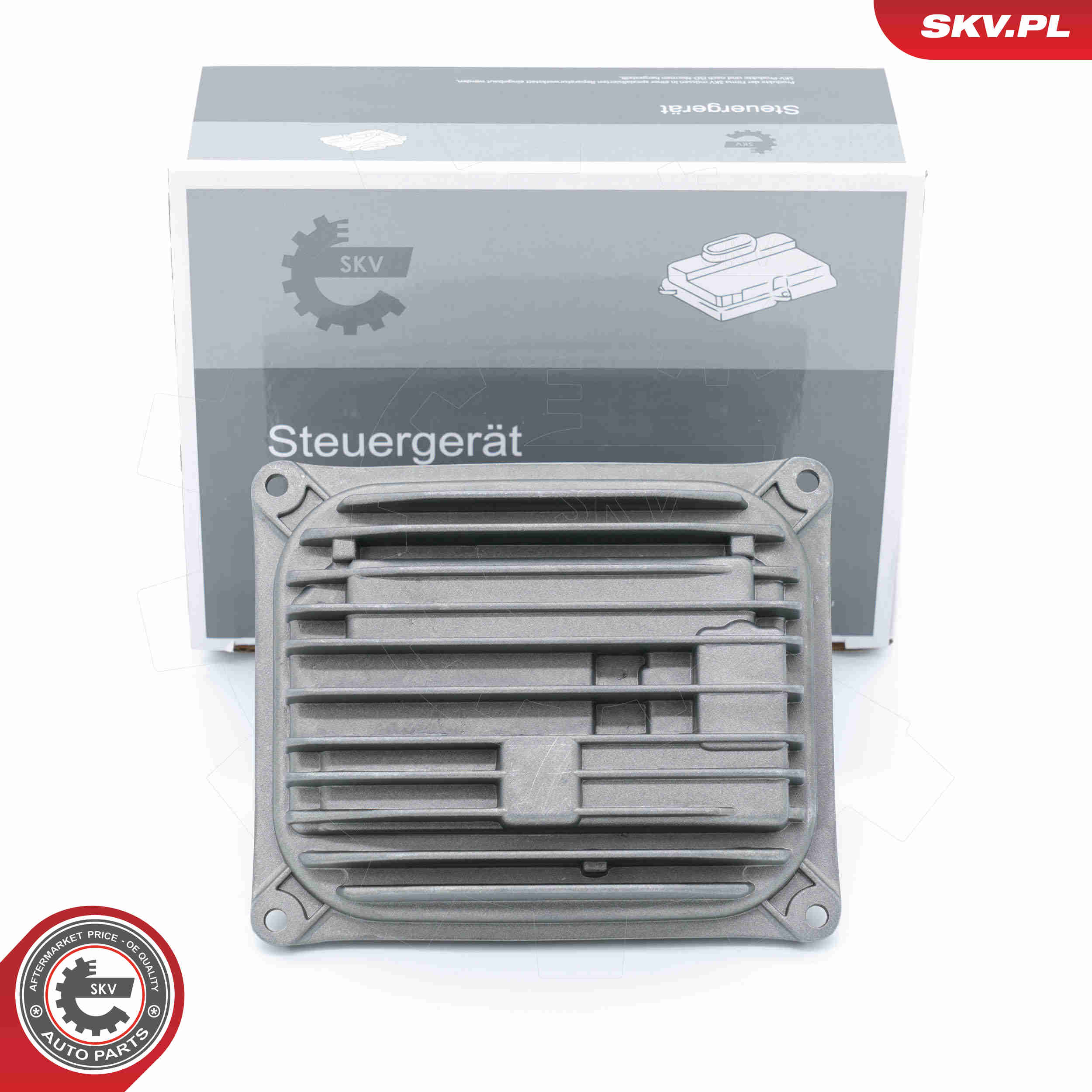 Steuergerät, Beleuchtung - 59SKV191 ESEN SKV