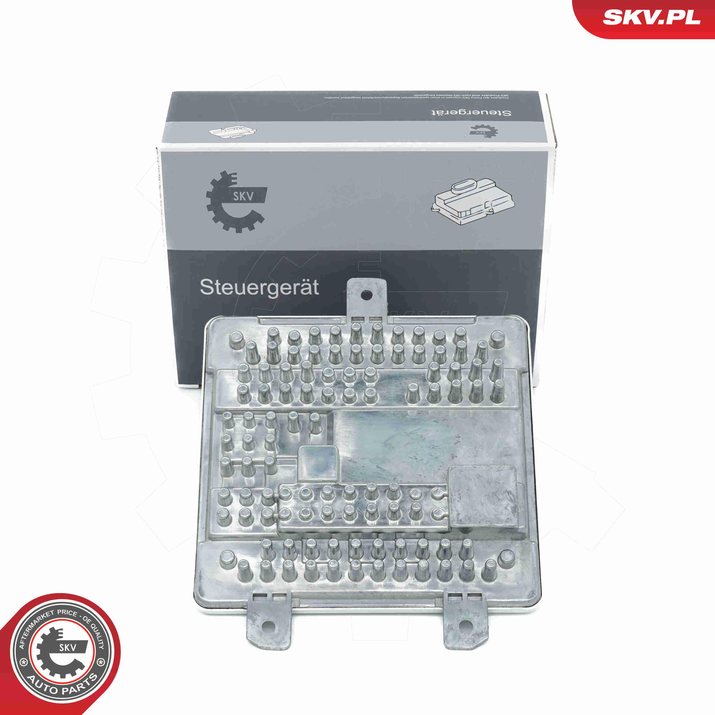 Control Unit, lights - 59SKV193 ESEN SKV