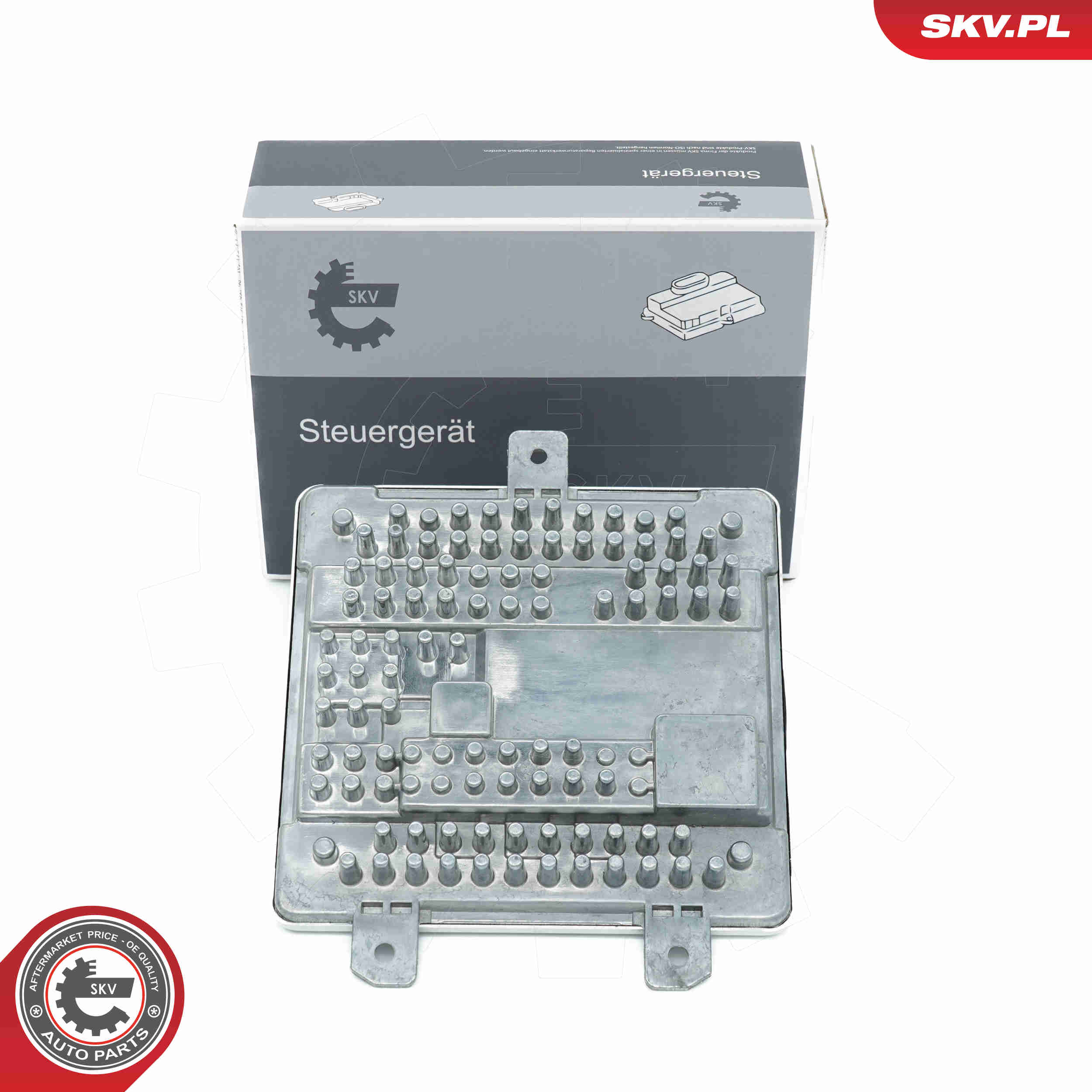 Control Unit, lights - 59SKV194 ESEN SKV