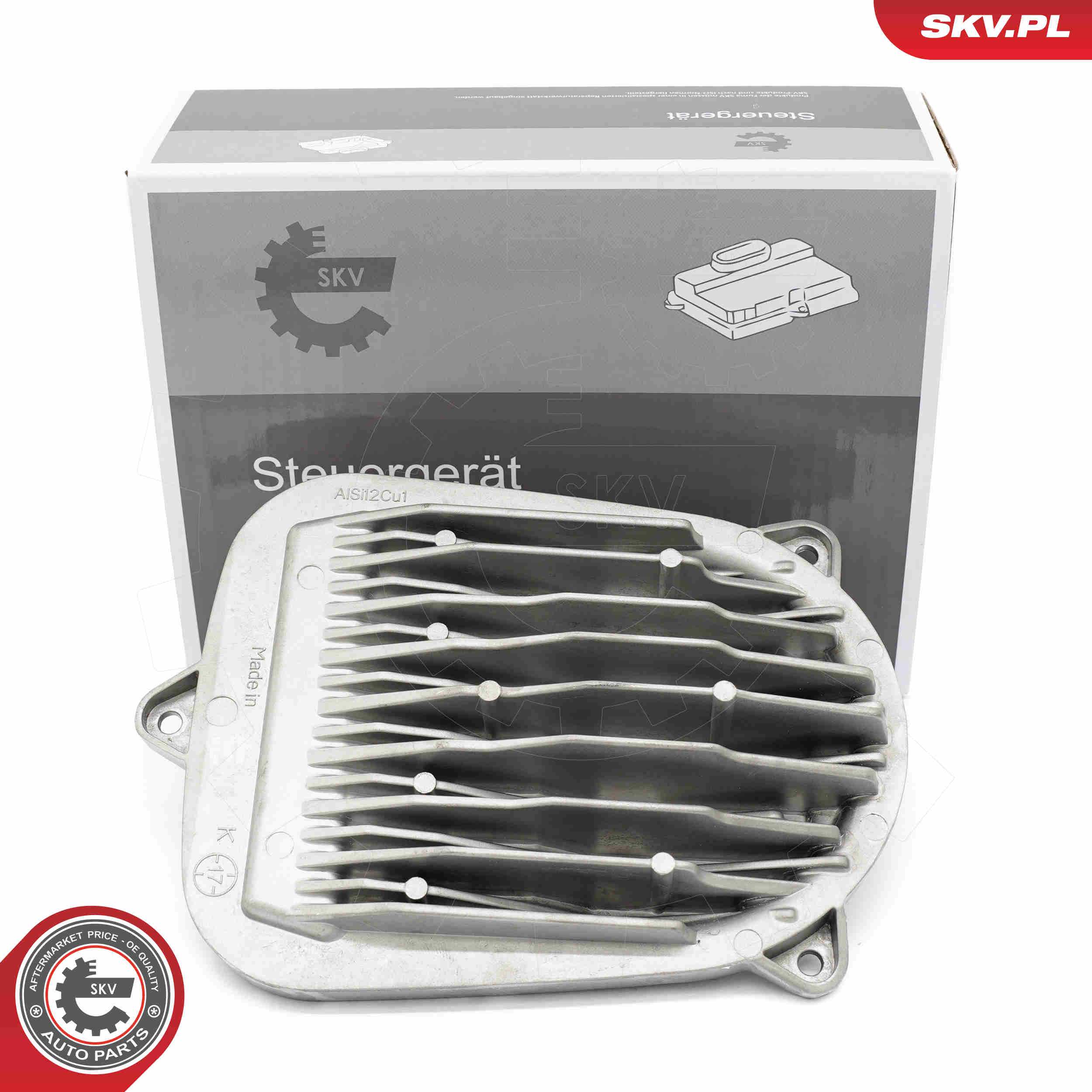Steuergerät, Beleuchtung - 59SKV229 ESEN SKV