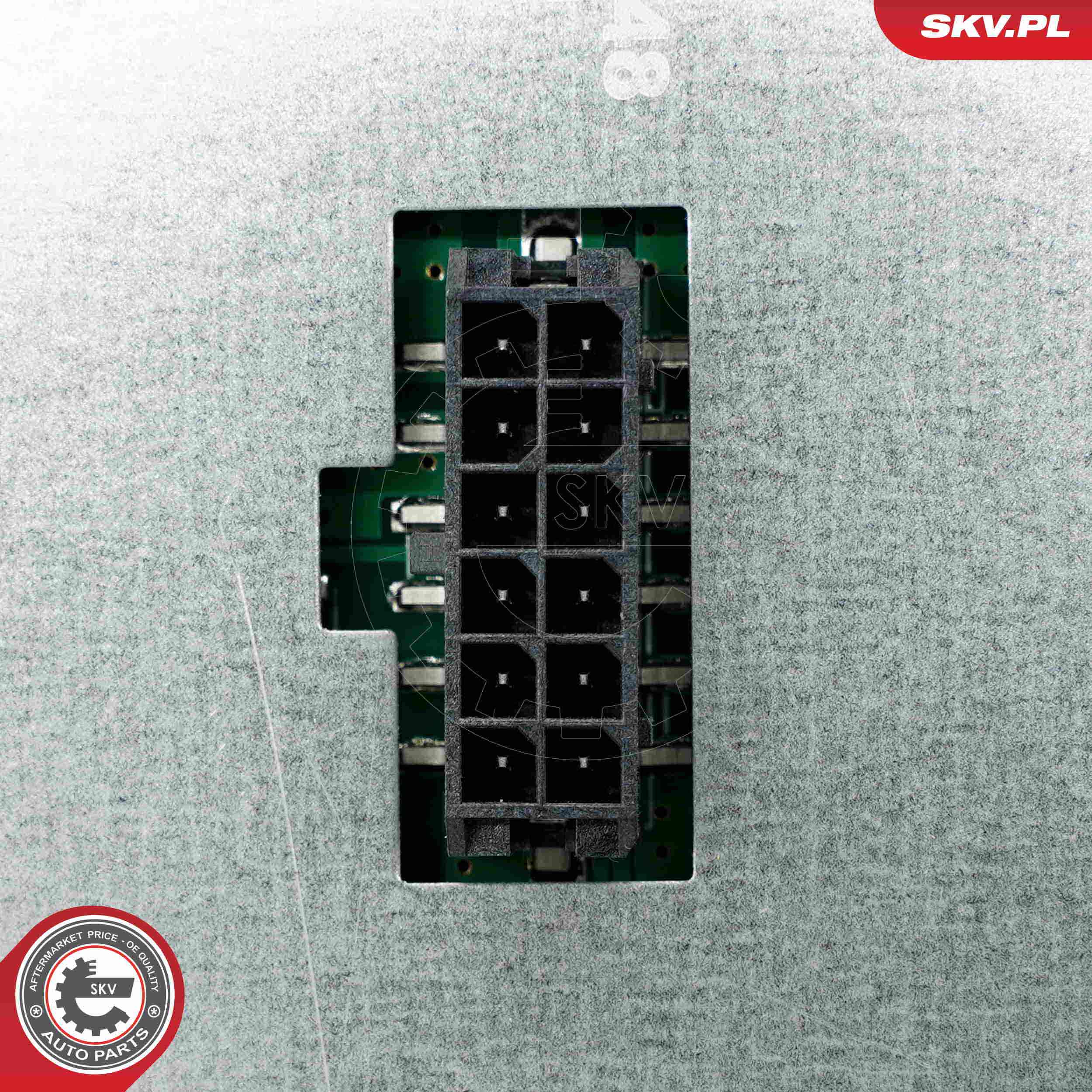 Control Unit, lights - 59SKV248 ESEN SKV