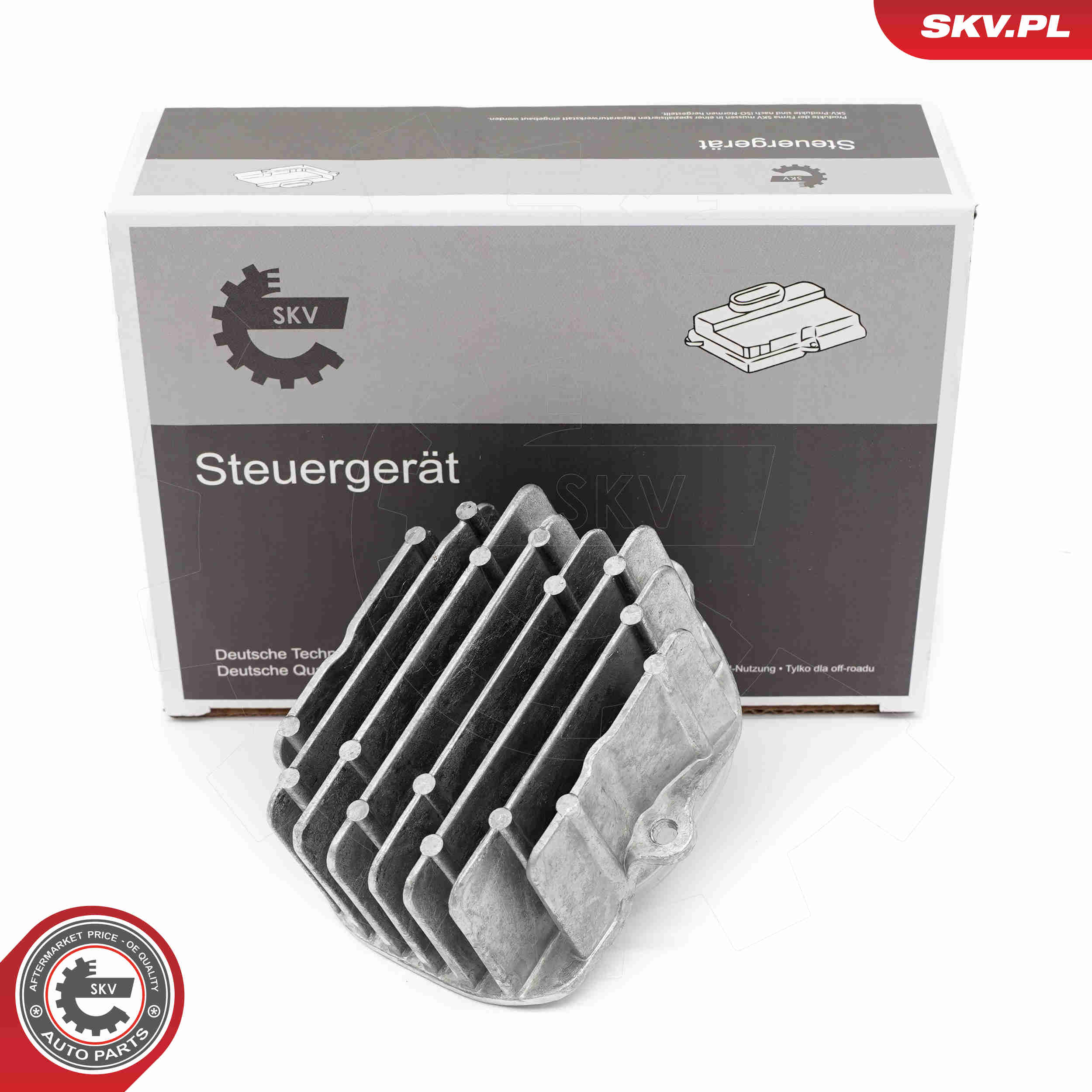 Steuergerät, Beleuchtung - 59SKV258 ESEN SKV