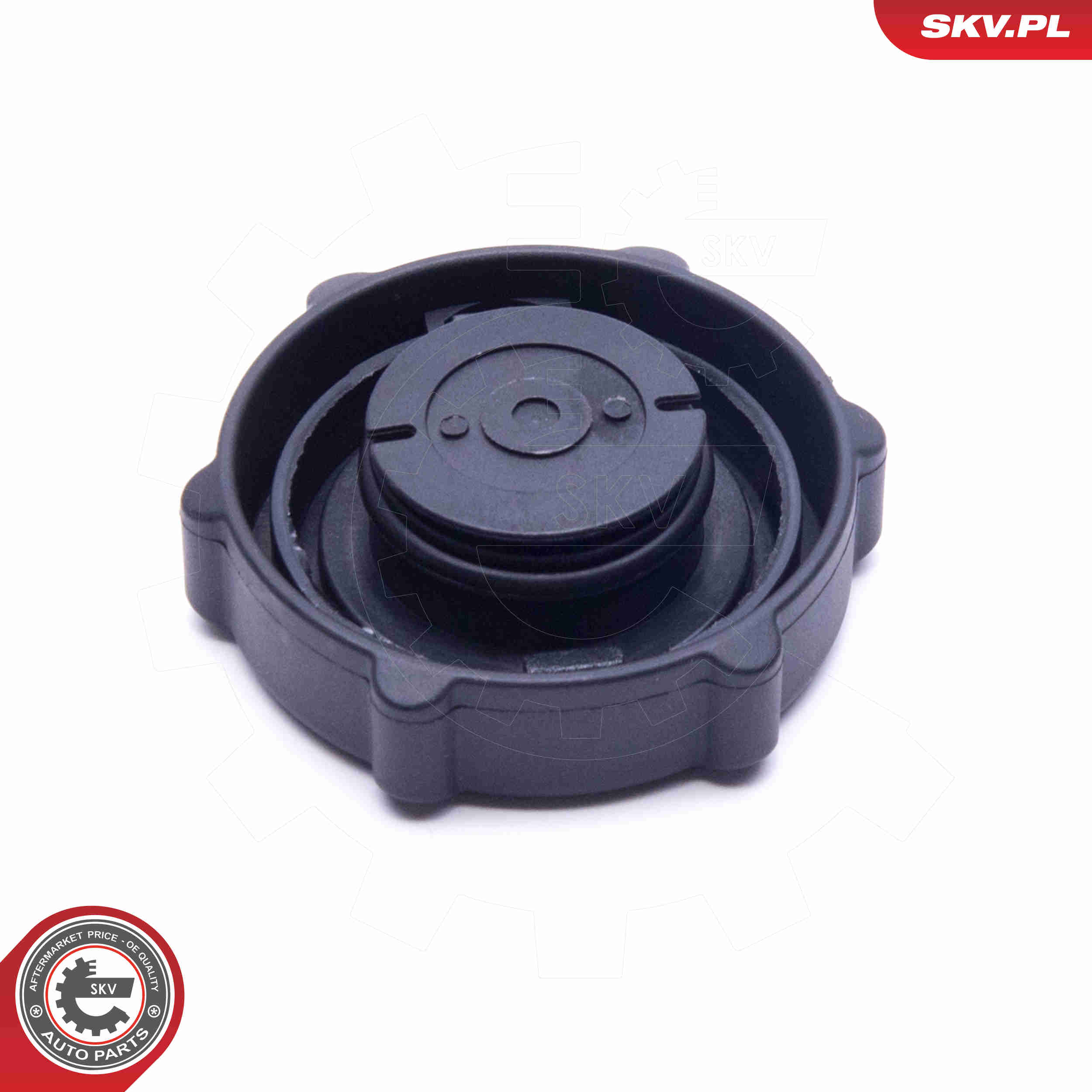 Anello di tenuta, tappo di chiusura, servopompa - 61SKV029 ESEN SKV
