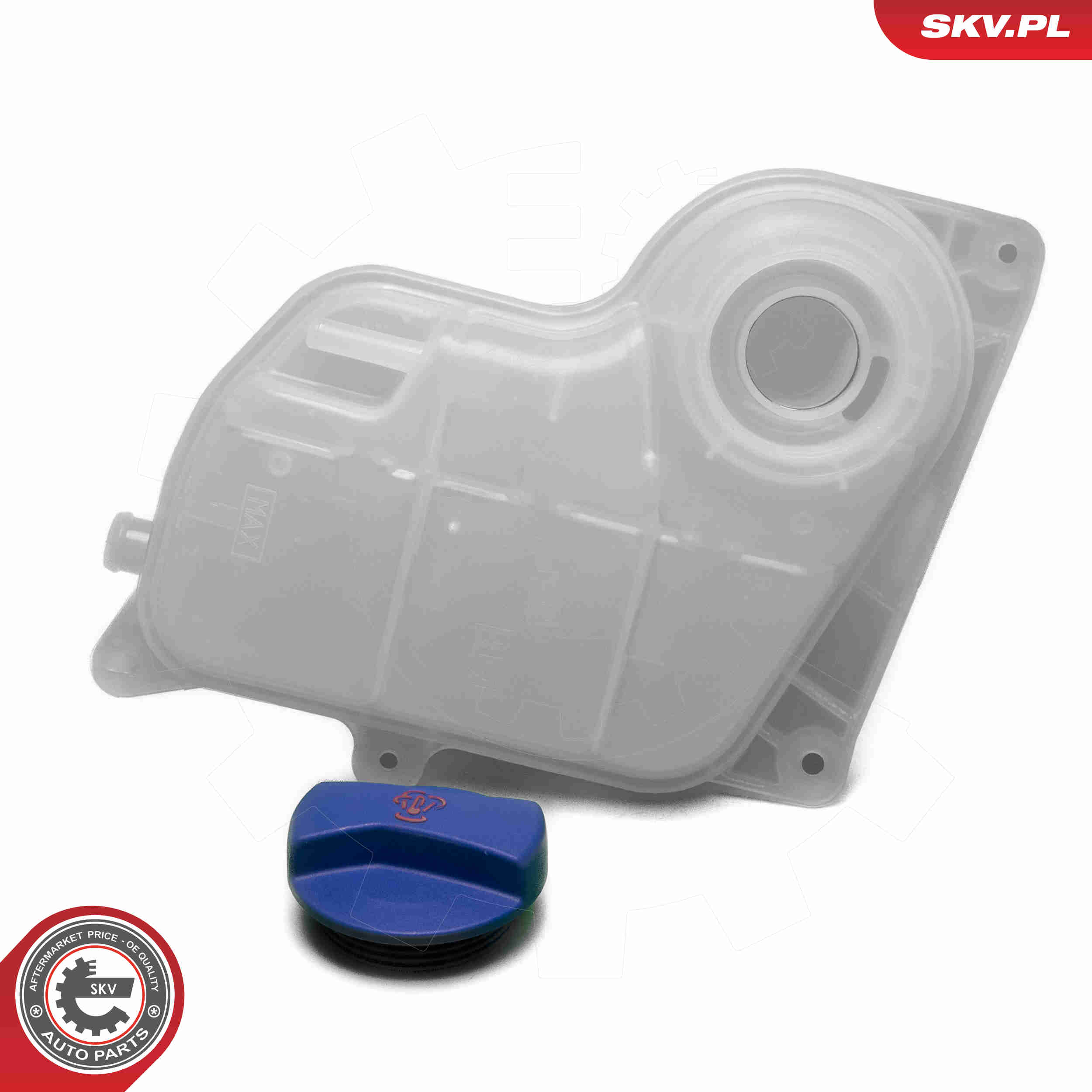 Expansion Tank, coolant - 61SKV302 ESEN SKV