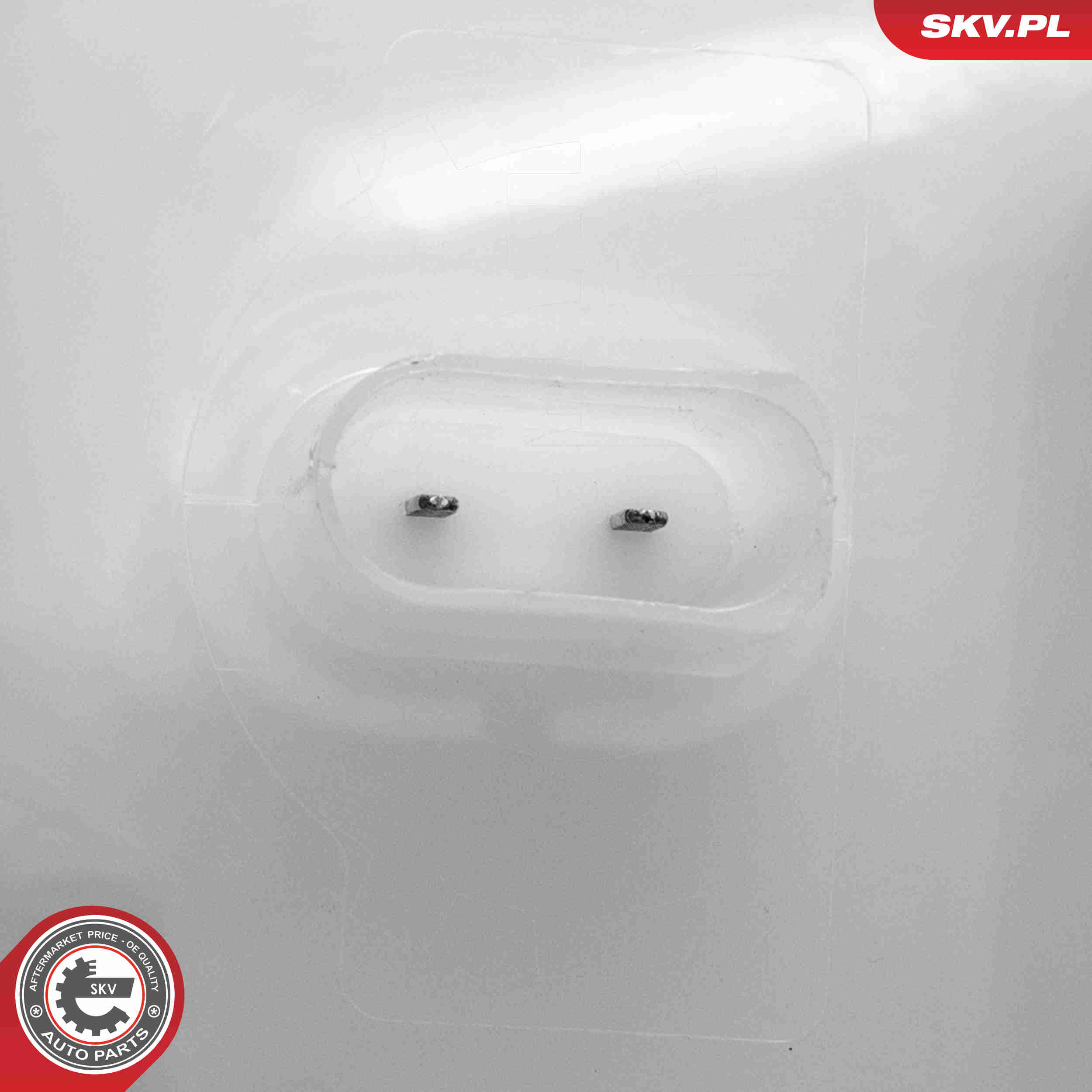 Expansion Tank, coolant - 61SKV302 ESEN SKV