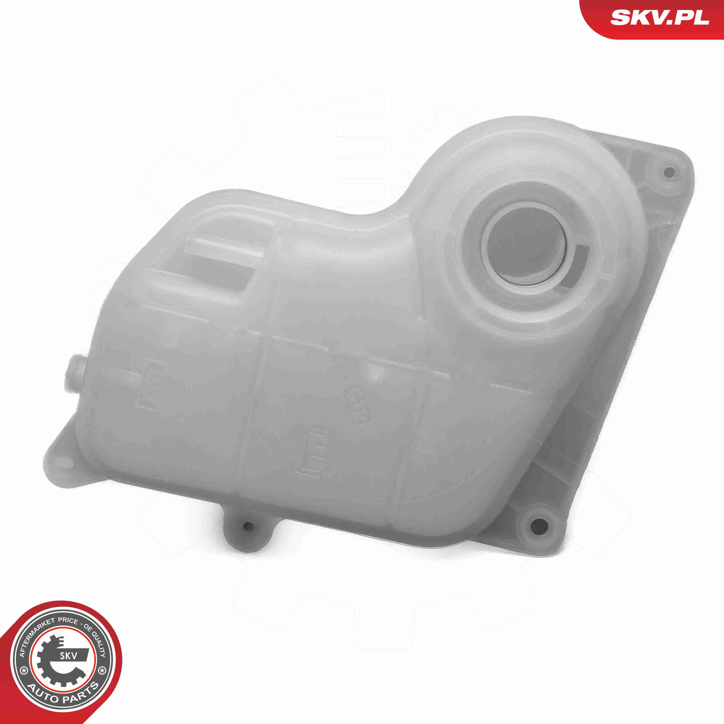 Expansion Tank, coolant - 61SKV303 ESEN SKV