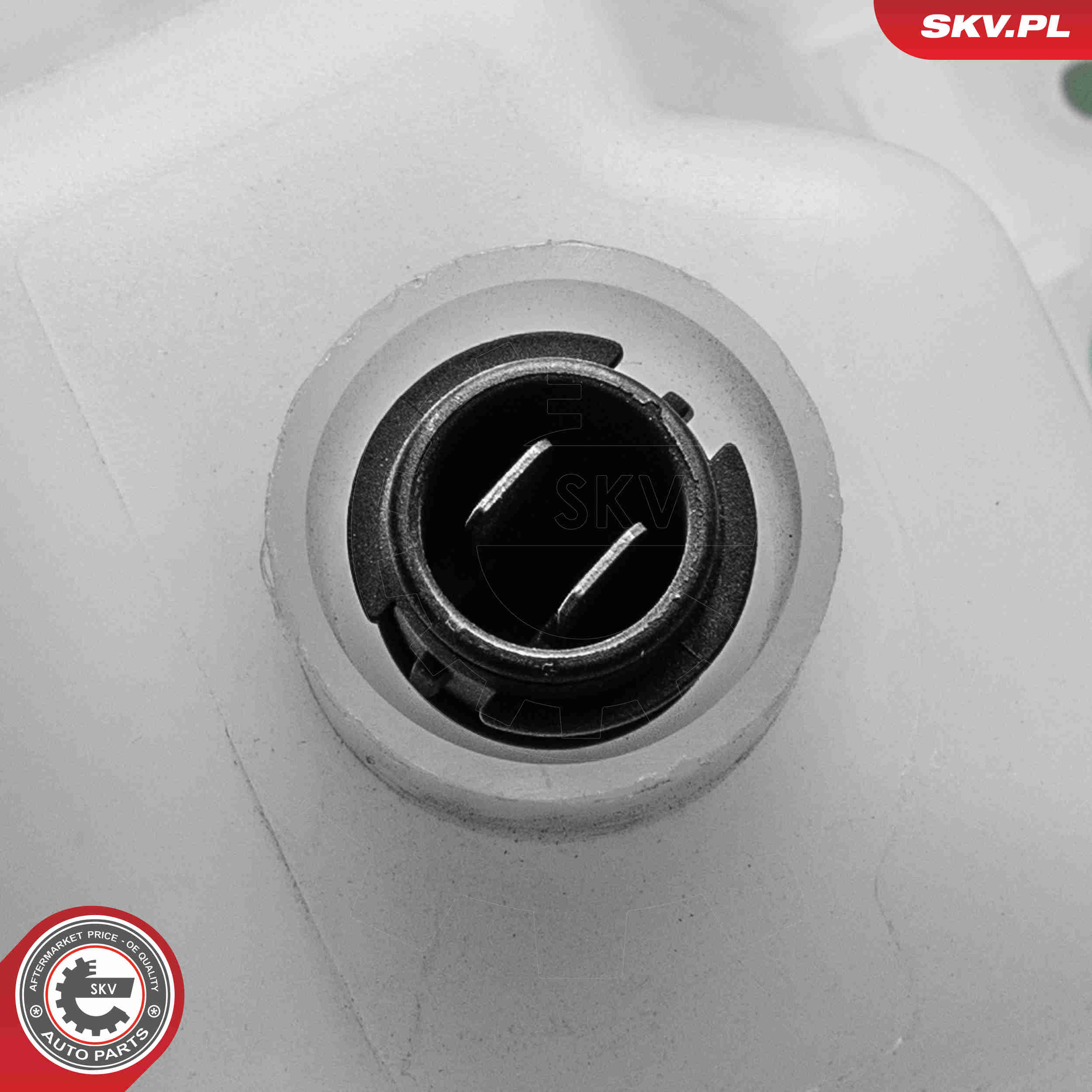 Expansion Tank, coolant - 61SKV303 ESEN SKV