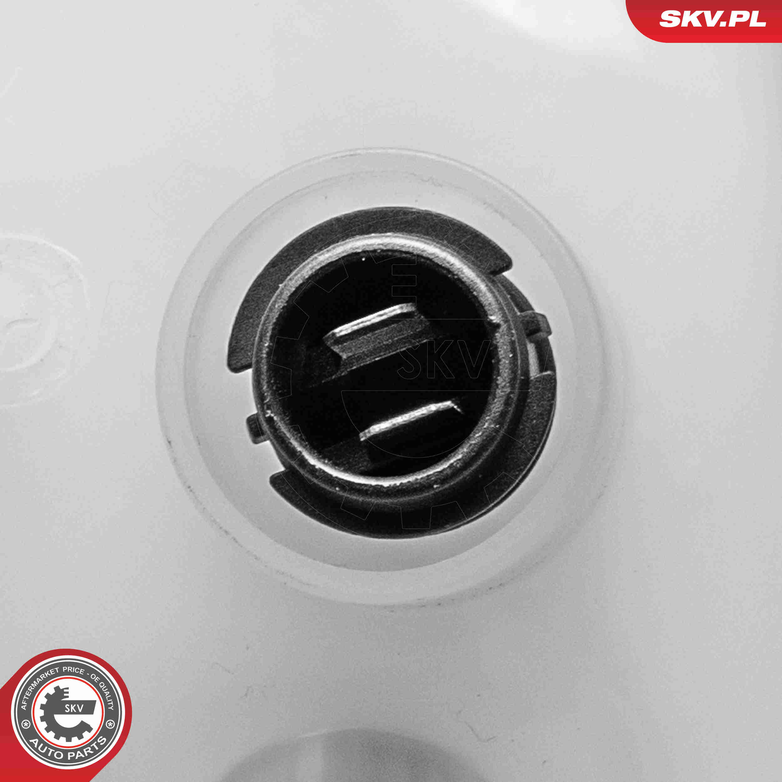 Expansion Tank, coolant - 61SKV309 ESEN SKV