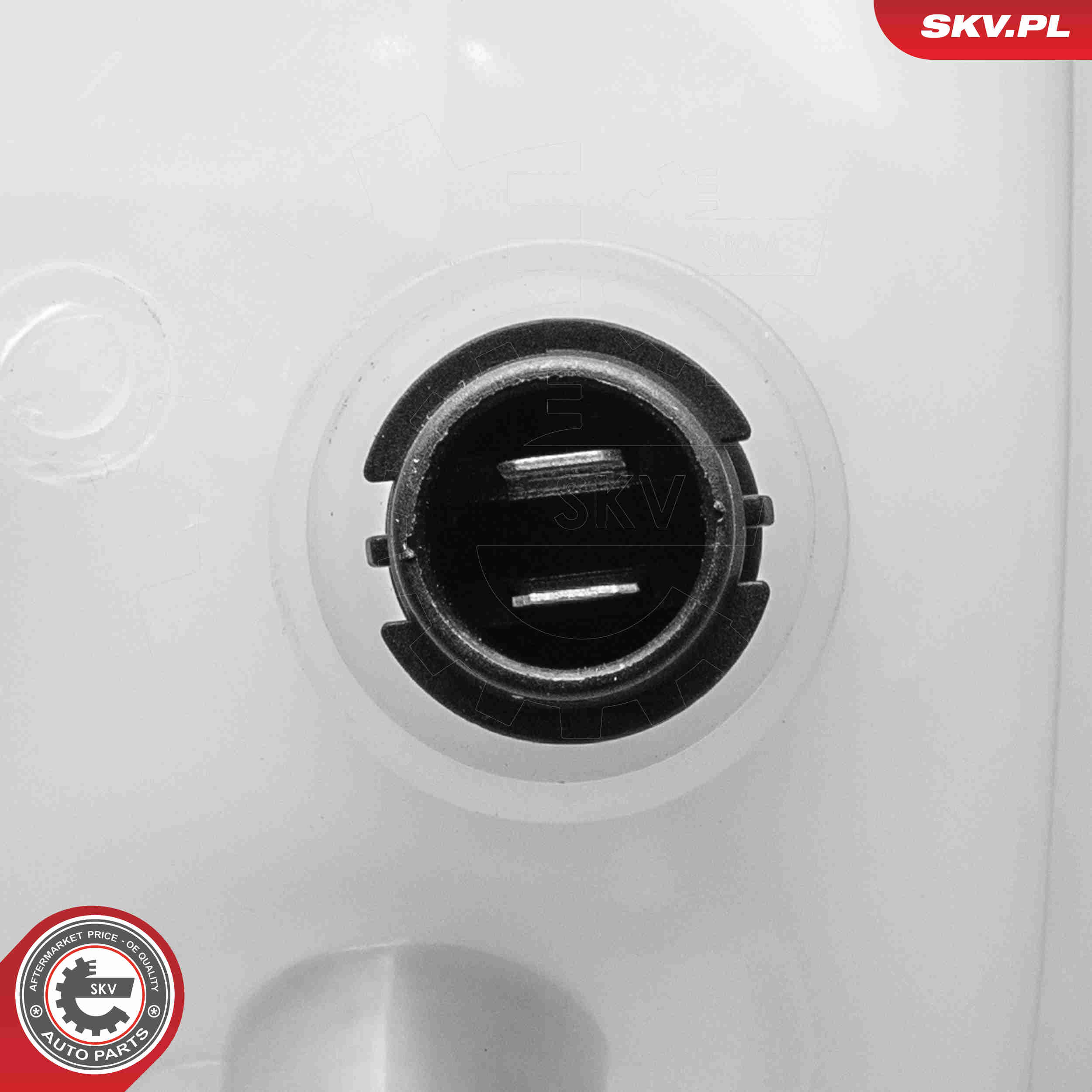 Expansion Tank, coolant - 61SKV310 ESEN SKV