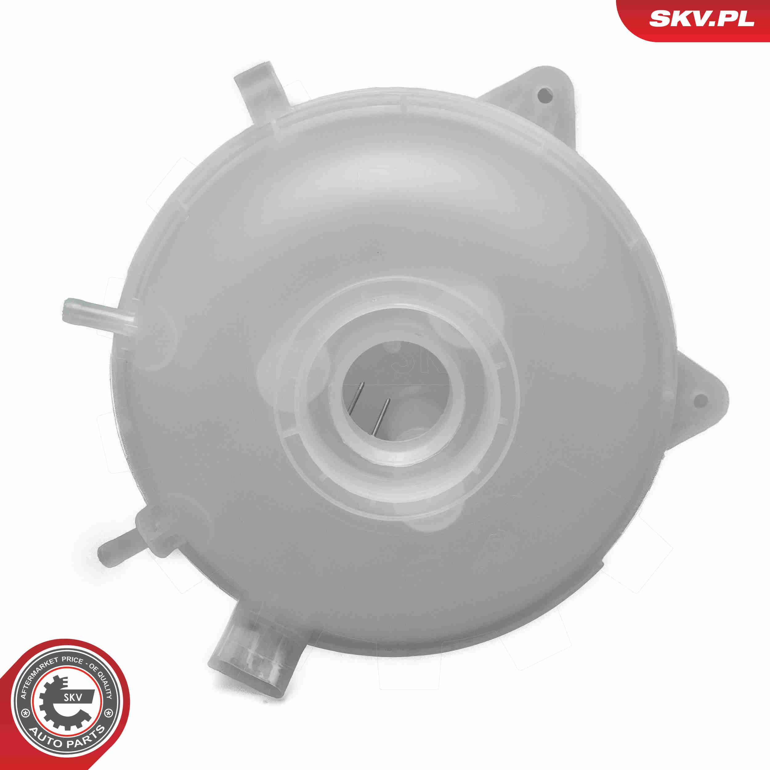 Expansion Tank, coolant - 61SKV319 ESEN SKV
