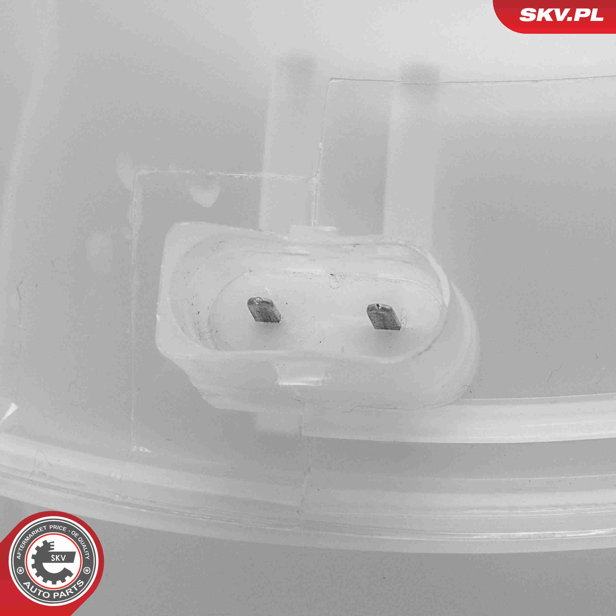 Expansion Tank, coolant - 61SKV319 ESEN SKV