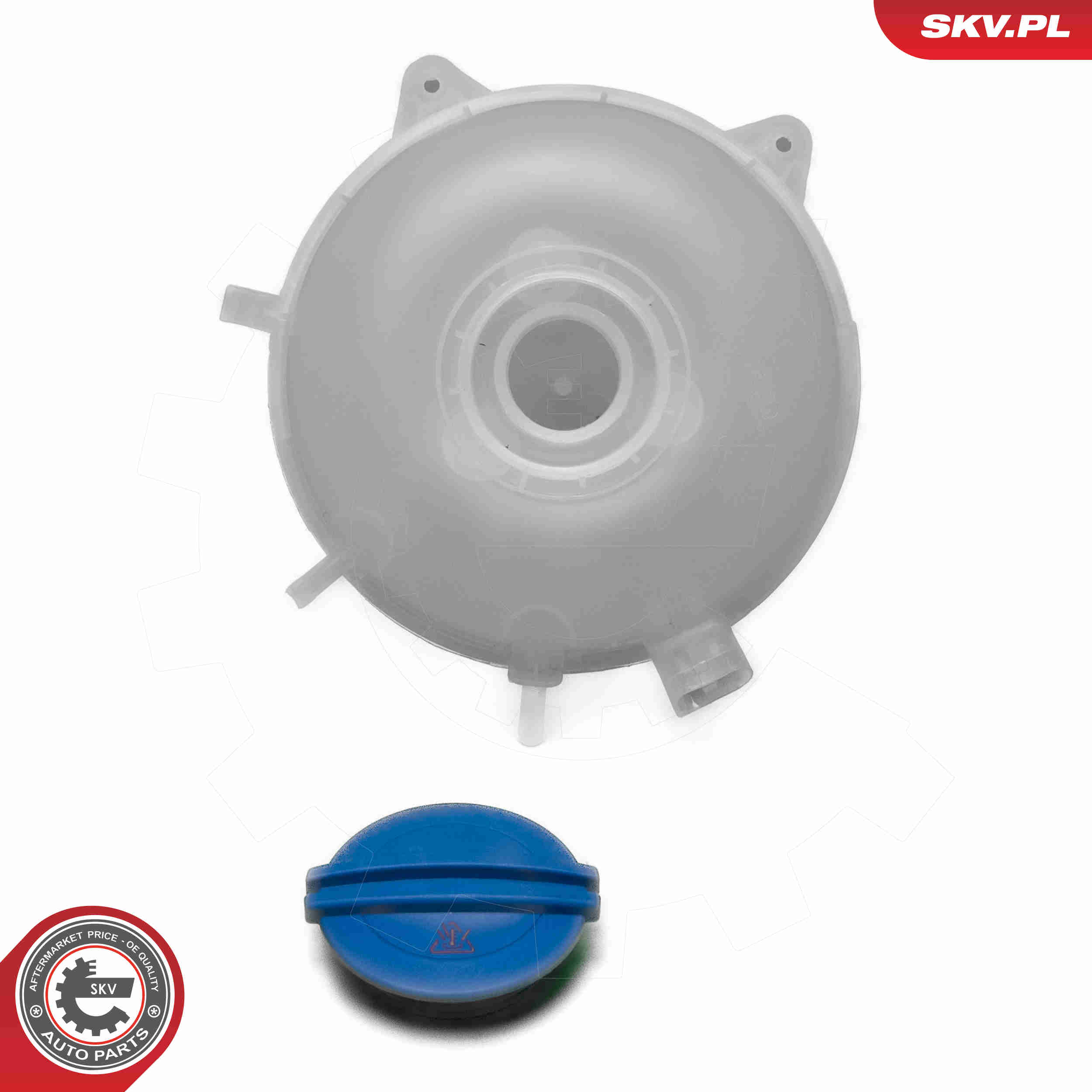 Expansion Tank, coolant - 61SKV320 ESEN SKV