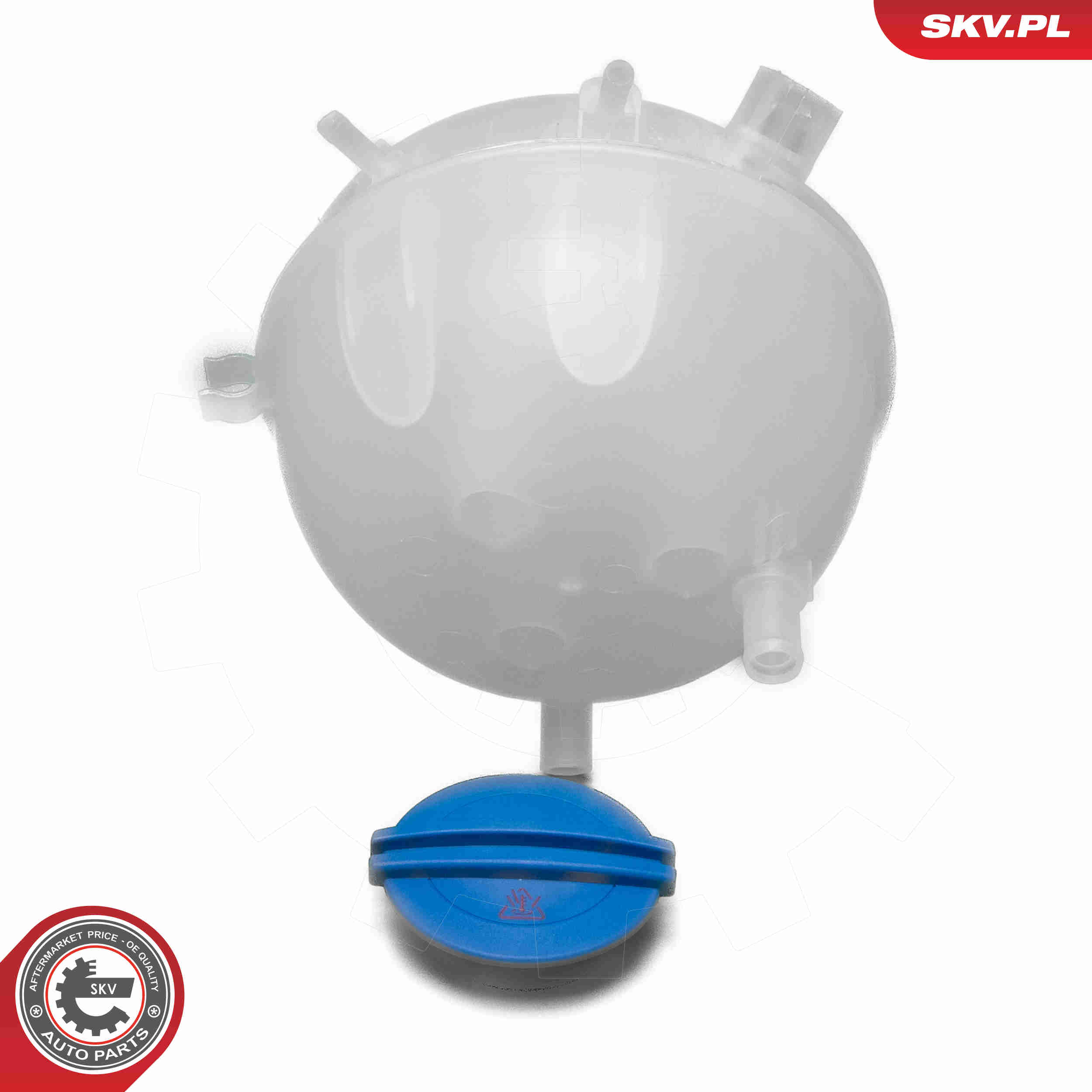 Expansion Tank, coolant - 61SKV320 ESEN SKV