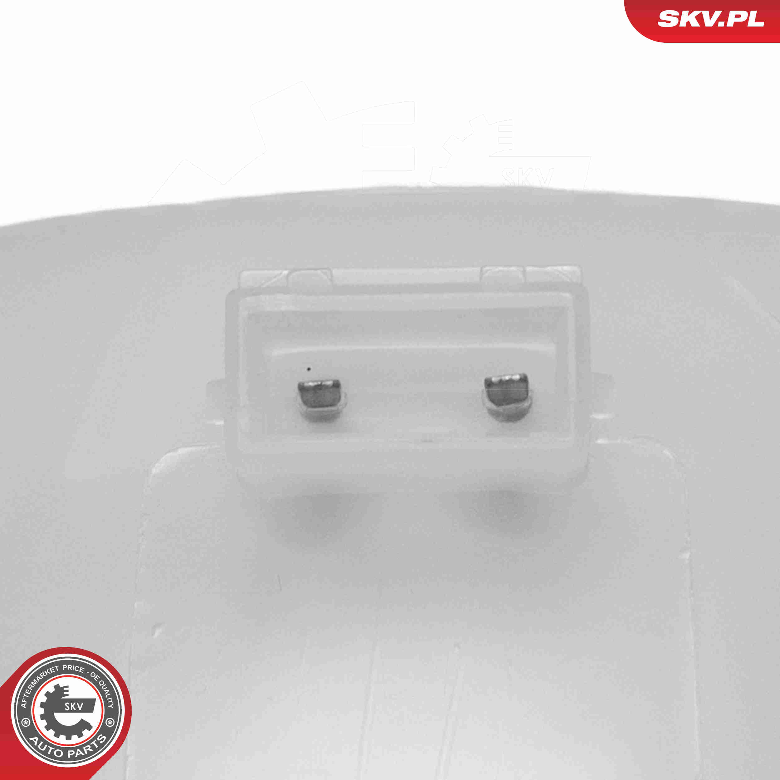 Expansion Tank, coolant - 61SKV323 ESEN SKV