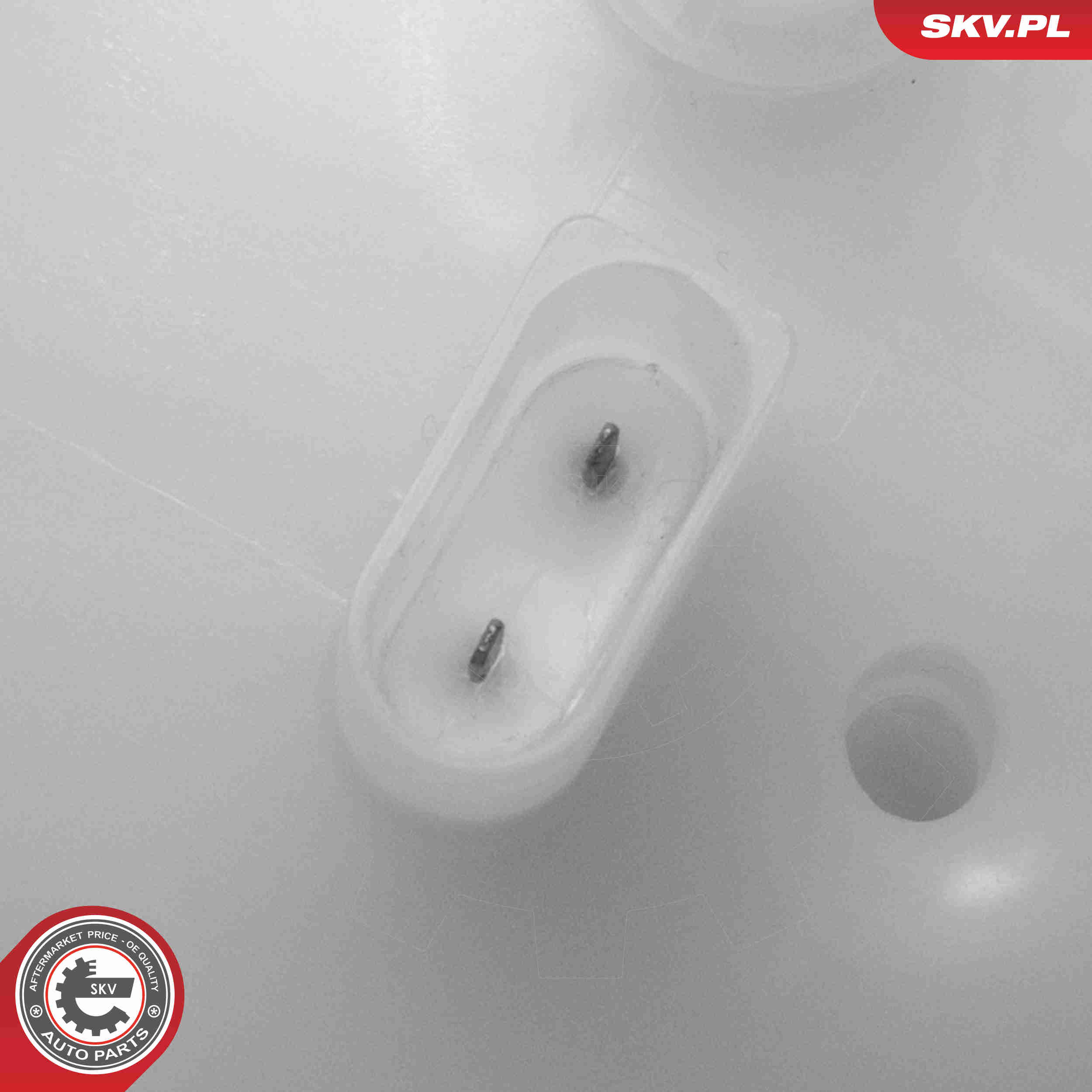 Expansion Tank, coolant - 61SKV351 ESEN SKV