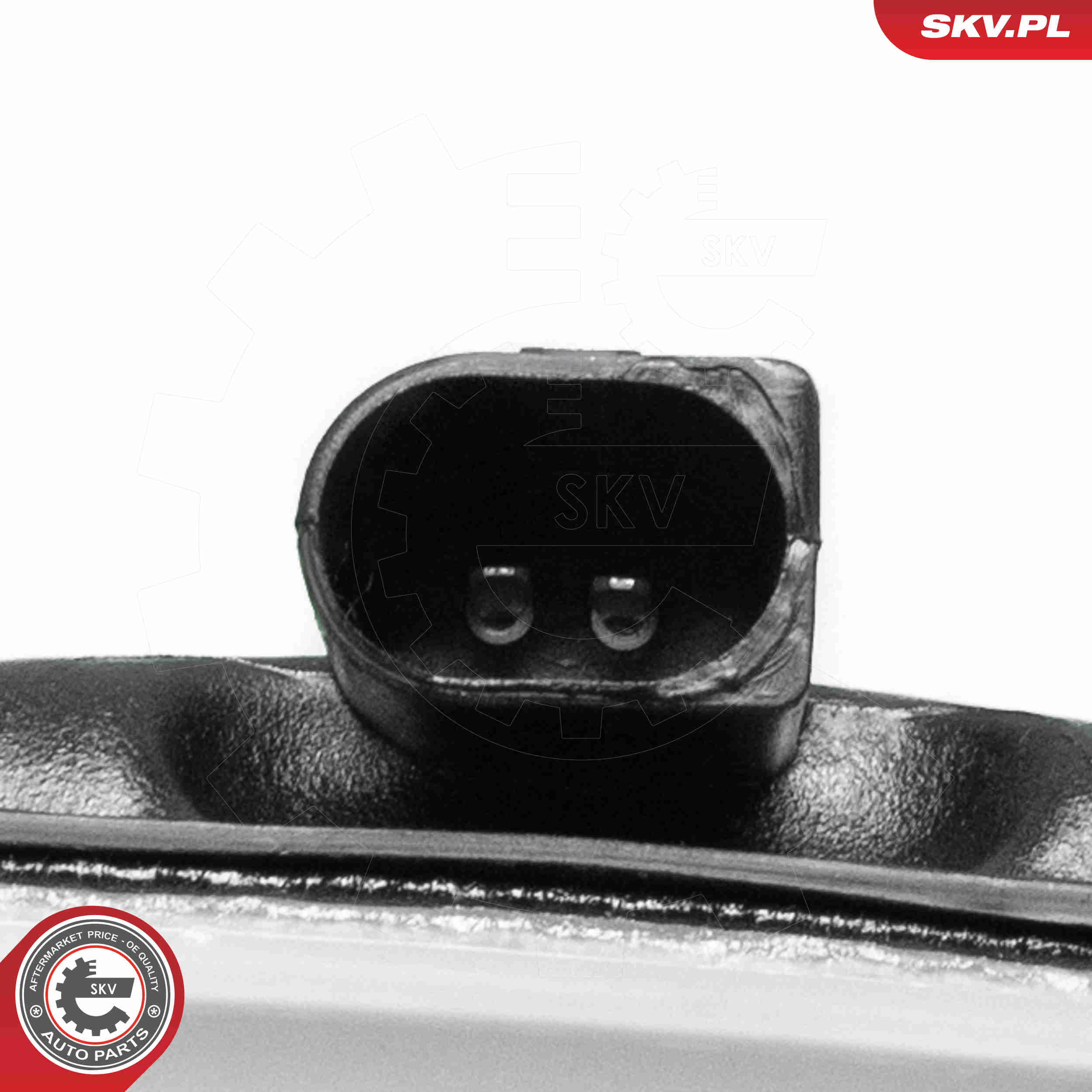 Expansion Tank, coolant - 61SKV365 ESEN SKV