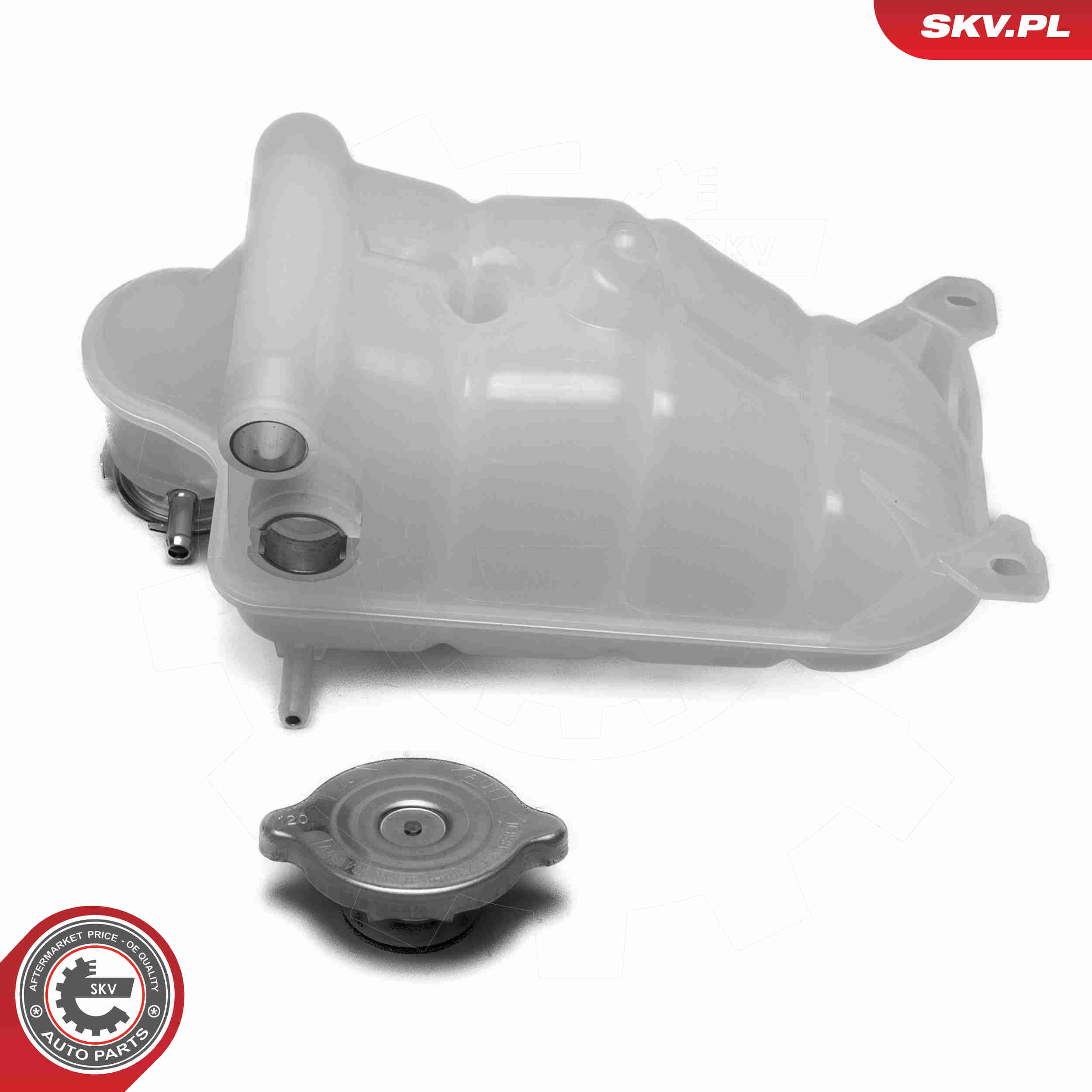 Expansion Tank, coolant - 61SKV370 ESEN SKV