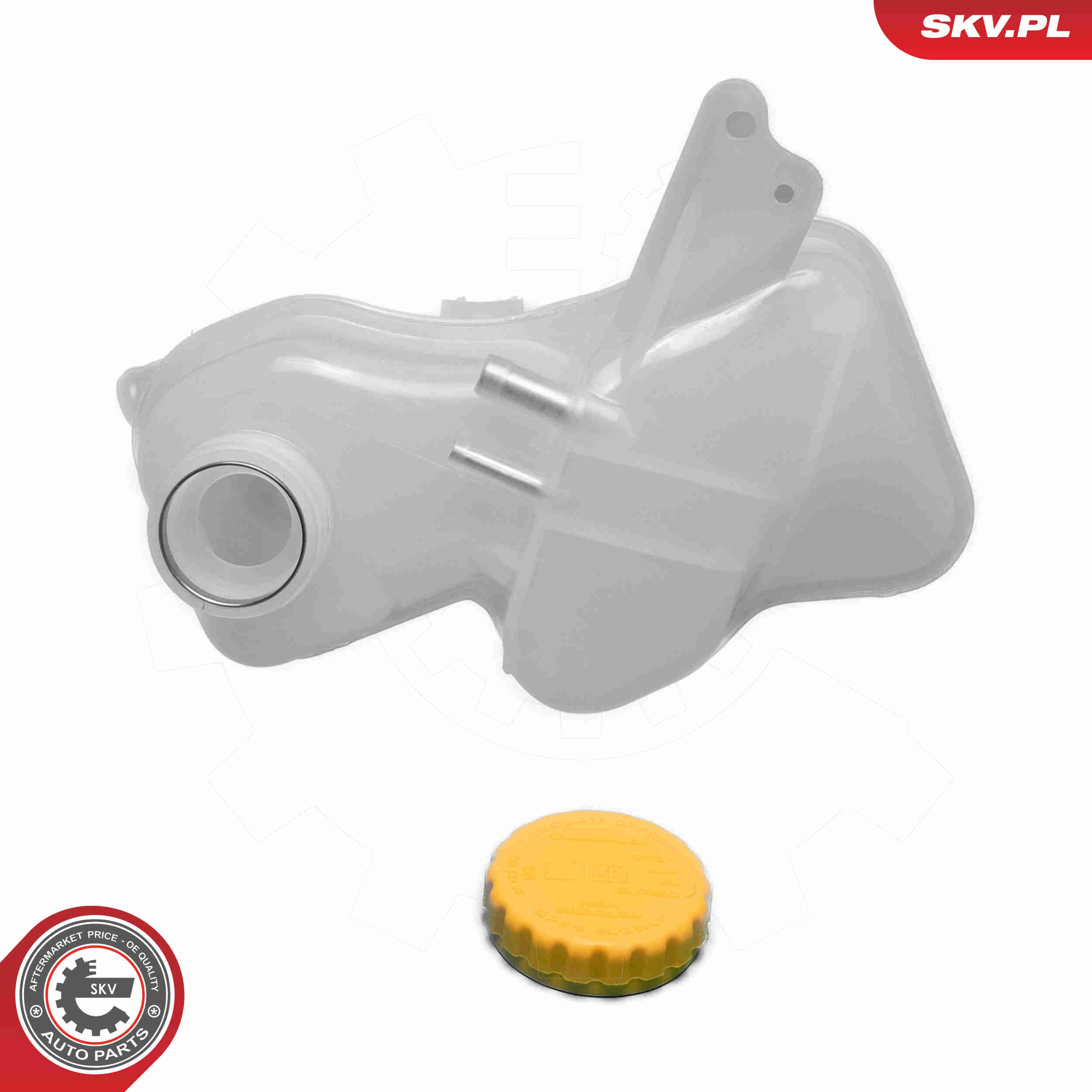 Expansion Tank, coolant - 61SKV376 ESEN SKV