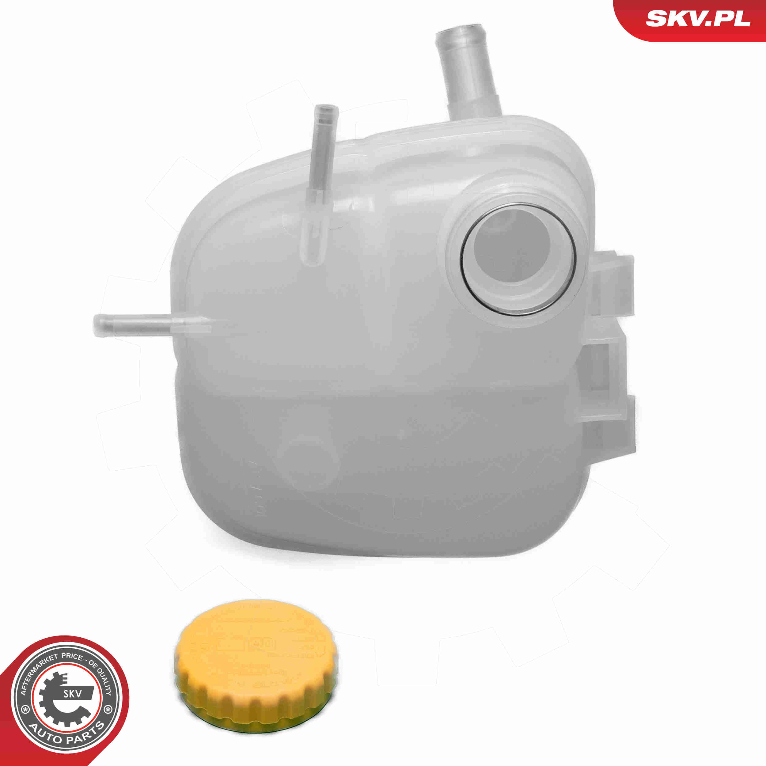 Expansion Tank, coolant - 61SKV382 ESEN SKV