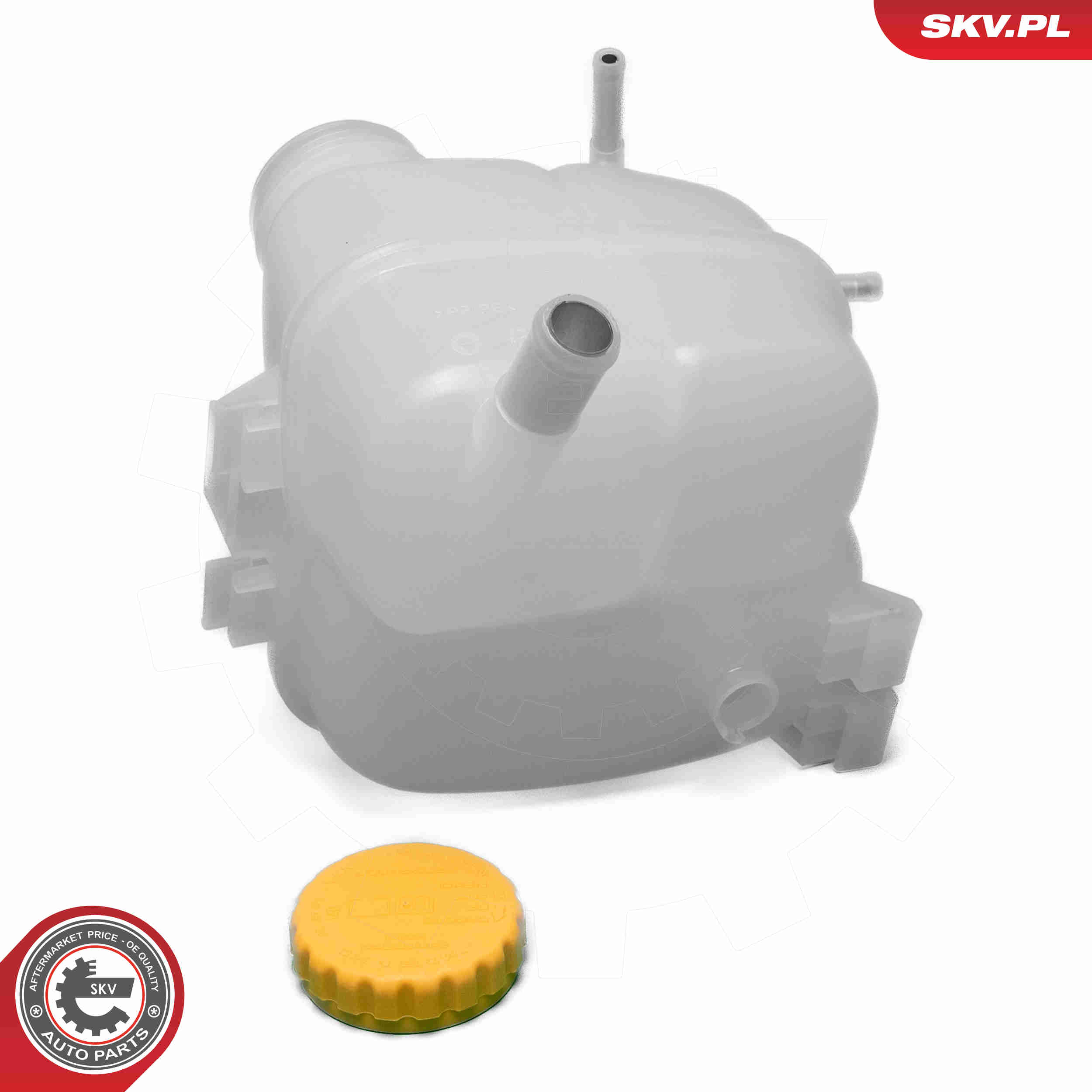 Expansion Tank, coolant - 61SKV382 ESEN SKV