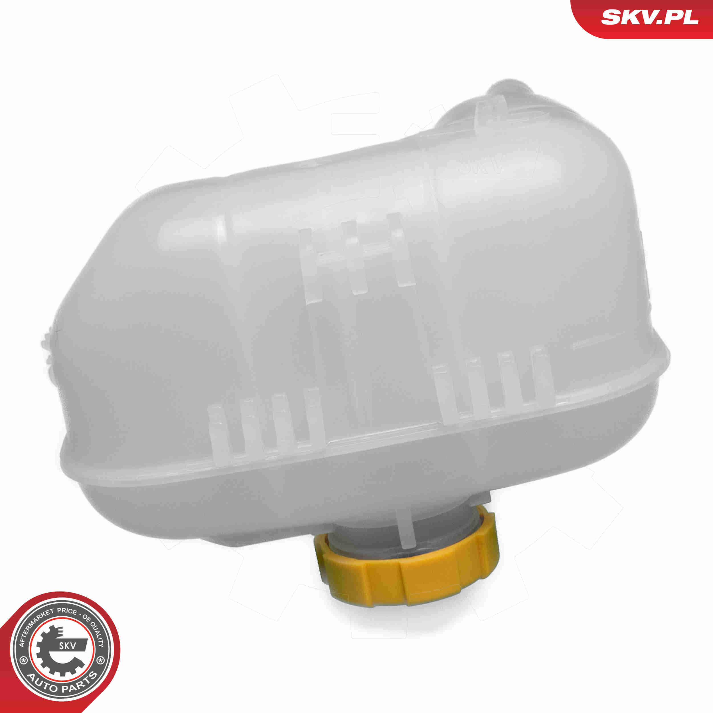 Expansion Tank, coolant - 61SKV384 ESEN SKV