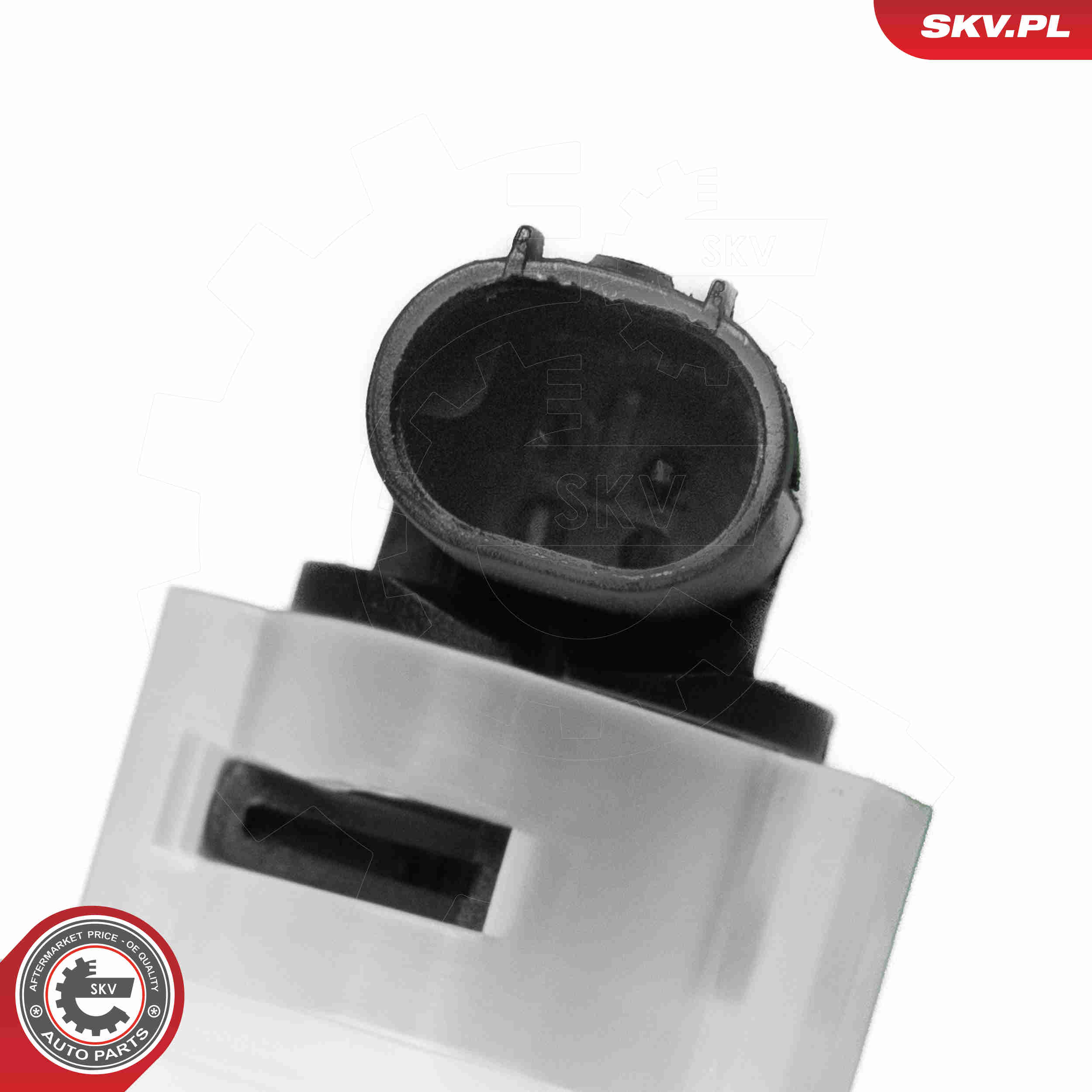 Expansion Tank, coolant - 61SKV454 ESEN SKV