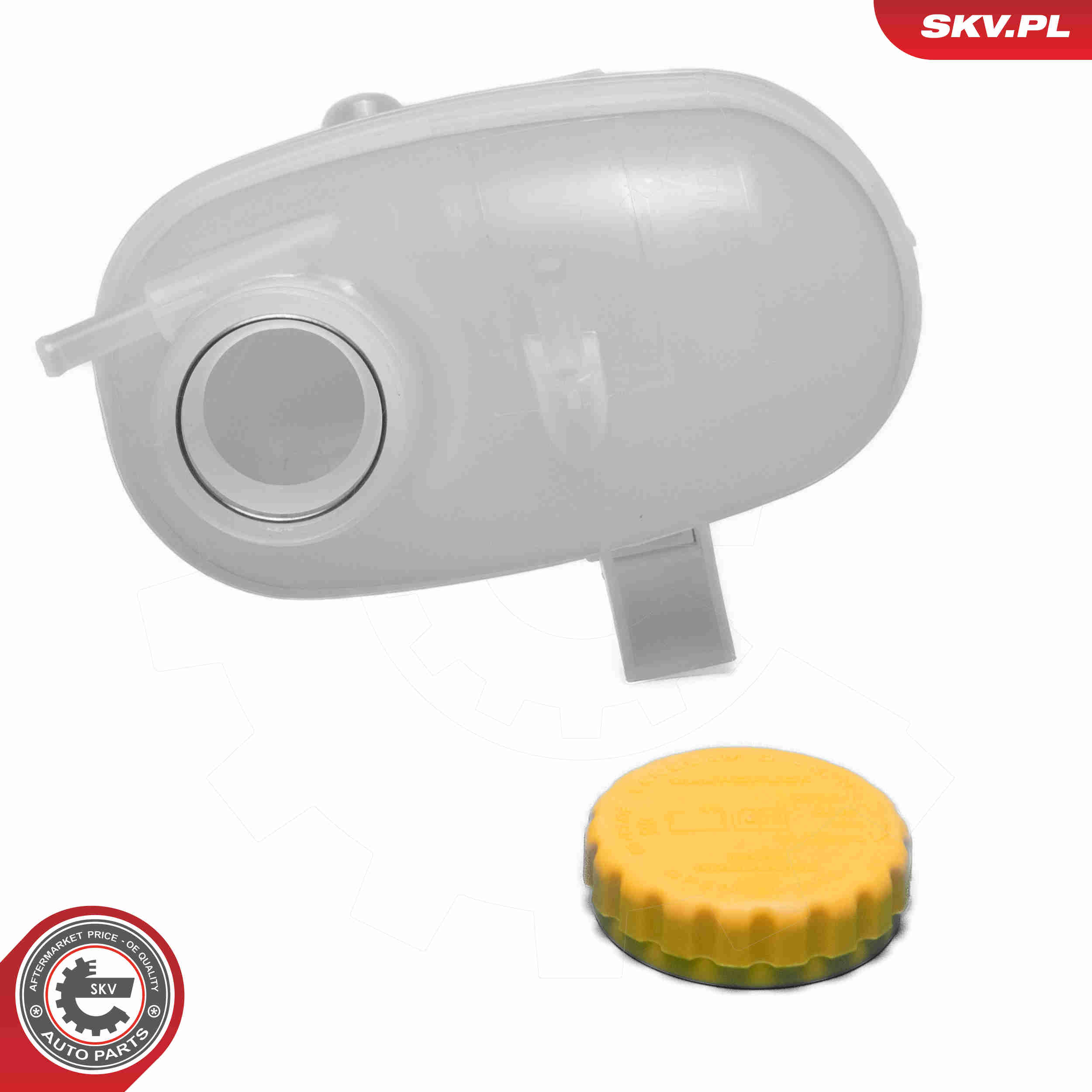 Expansion Tank, coolant - 61SKV462 ESEN SKV