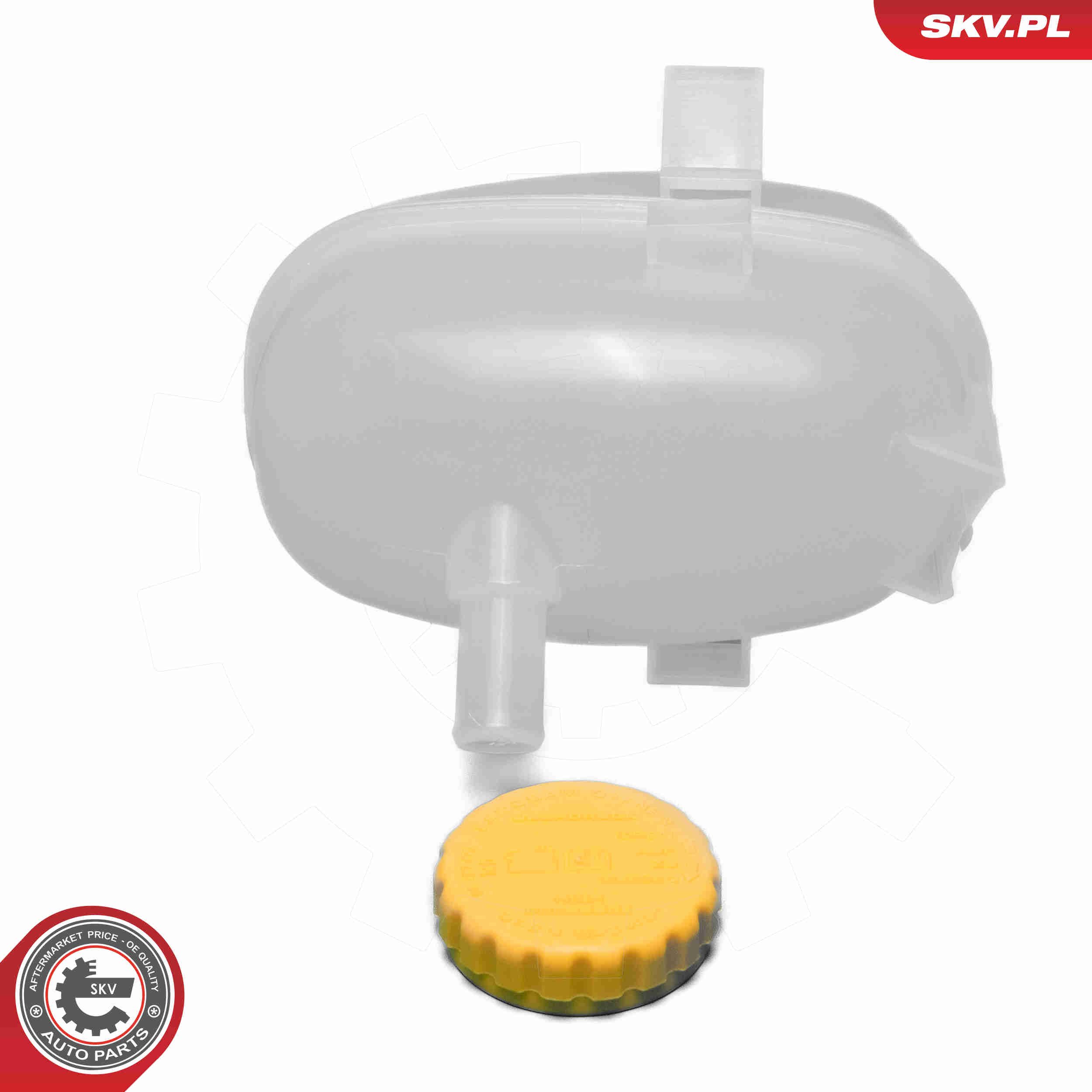 Expansion Tank, coolant - 61SKV462 ESEN SKV