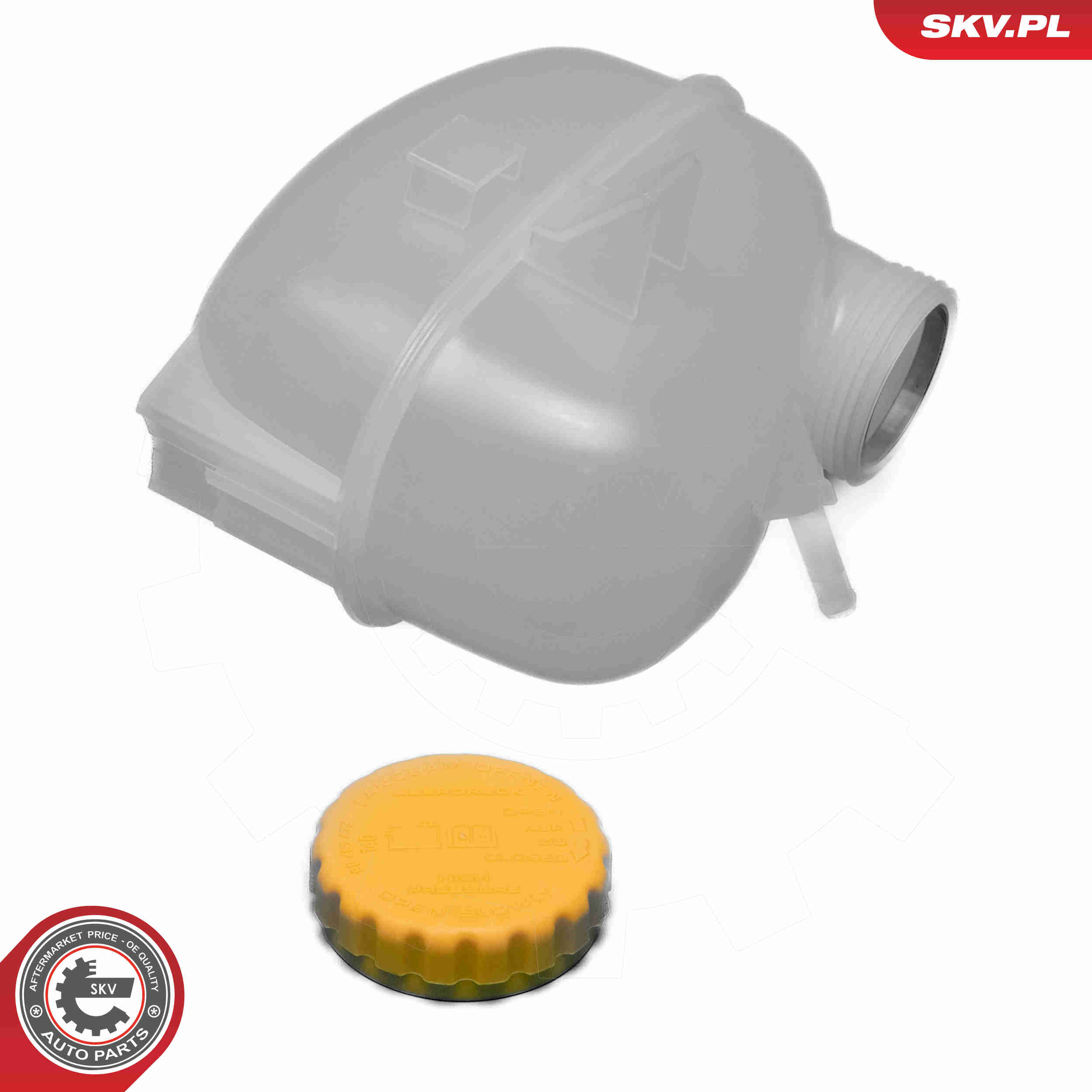 Expansion Tank, coolant - 61SKV462 ESEN SKV