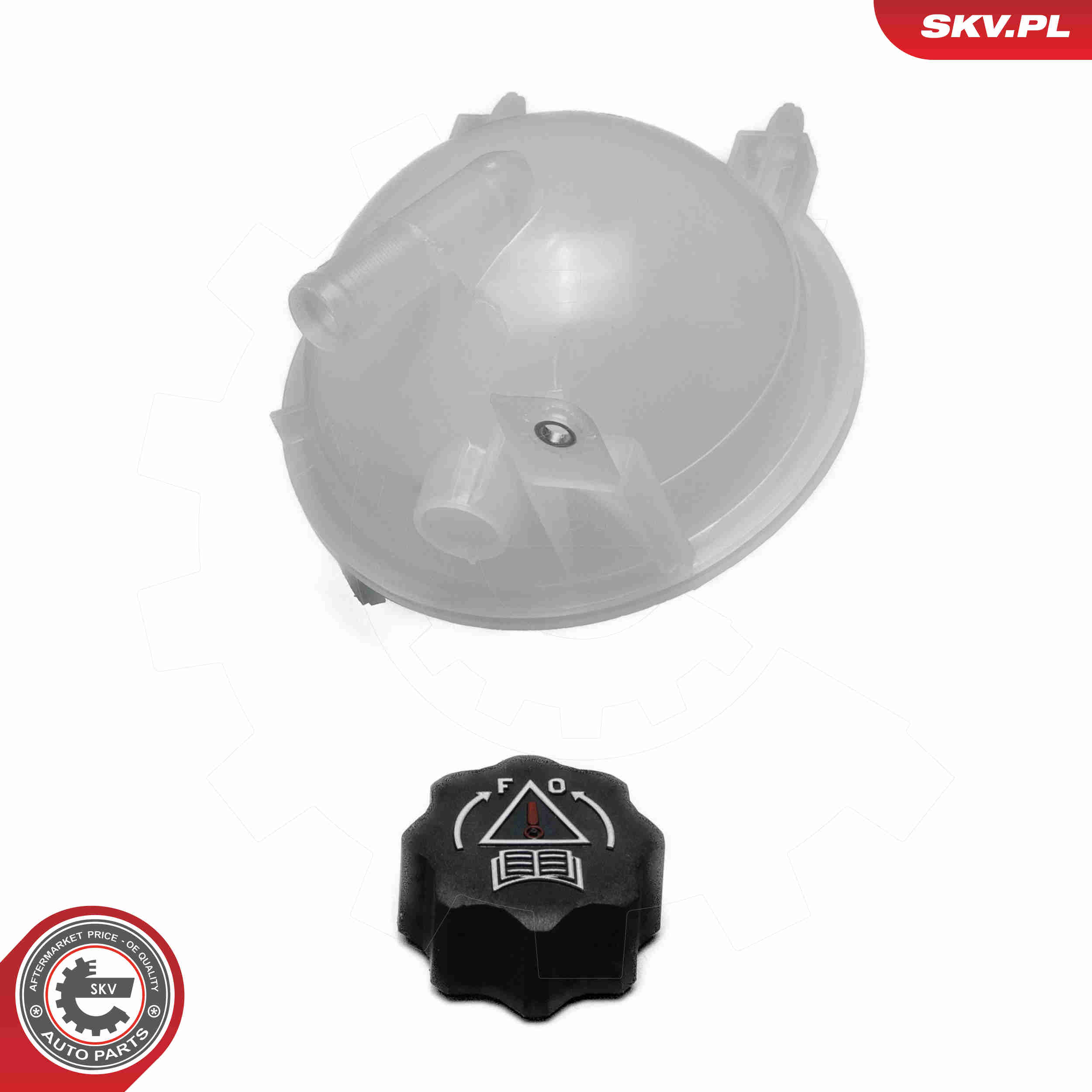 Expansion Tank, coolant - 61SKV474 ESEN SKV