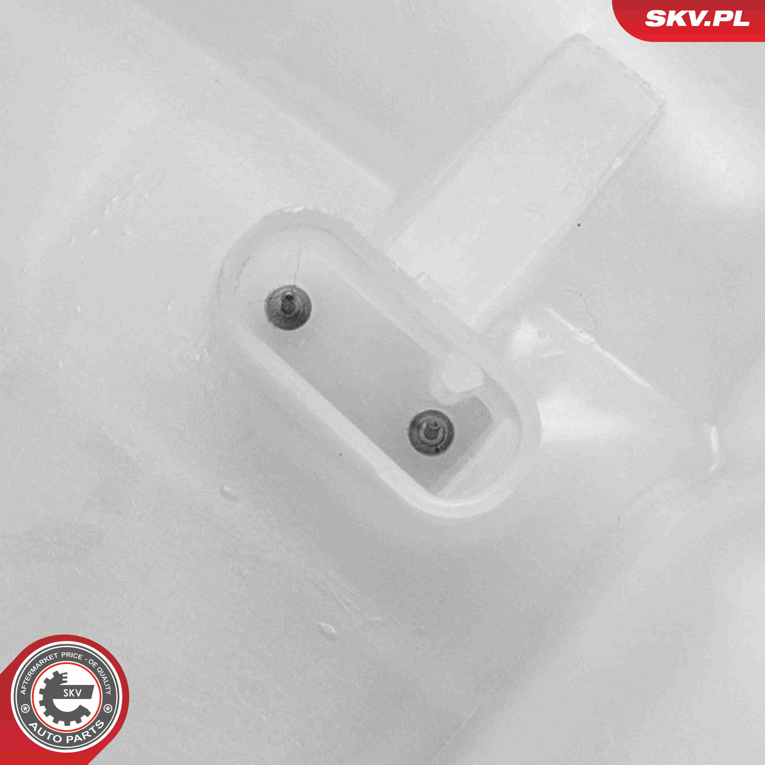 Expansion Tank, coolant - 61SKV479 ESEN SKV