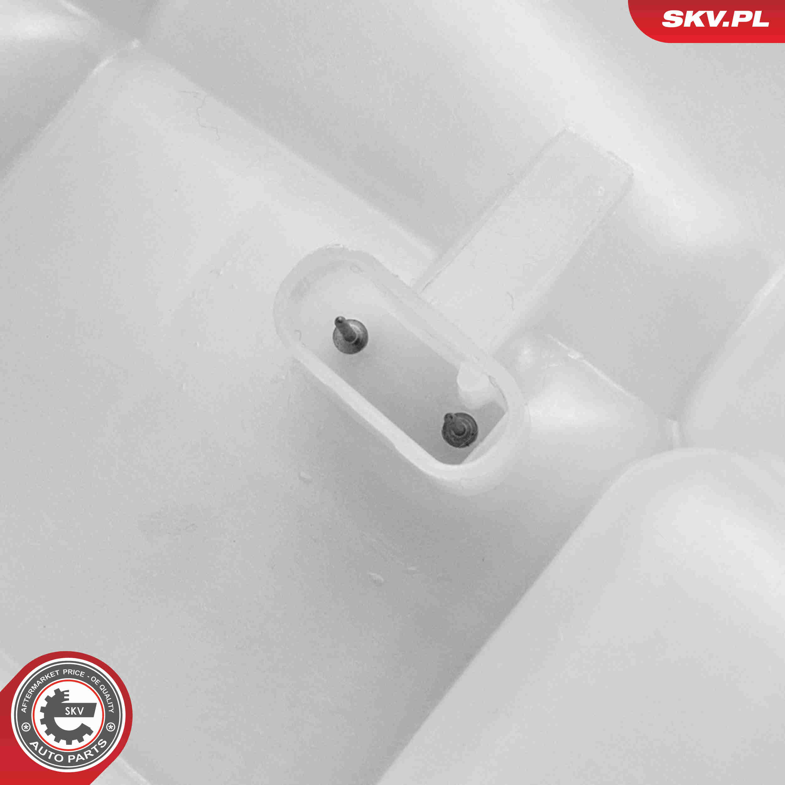 Expansion Tank, coolant - 61SKV480 ESEN SKV