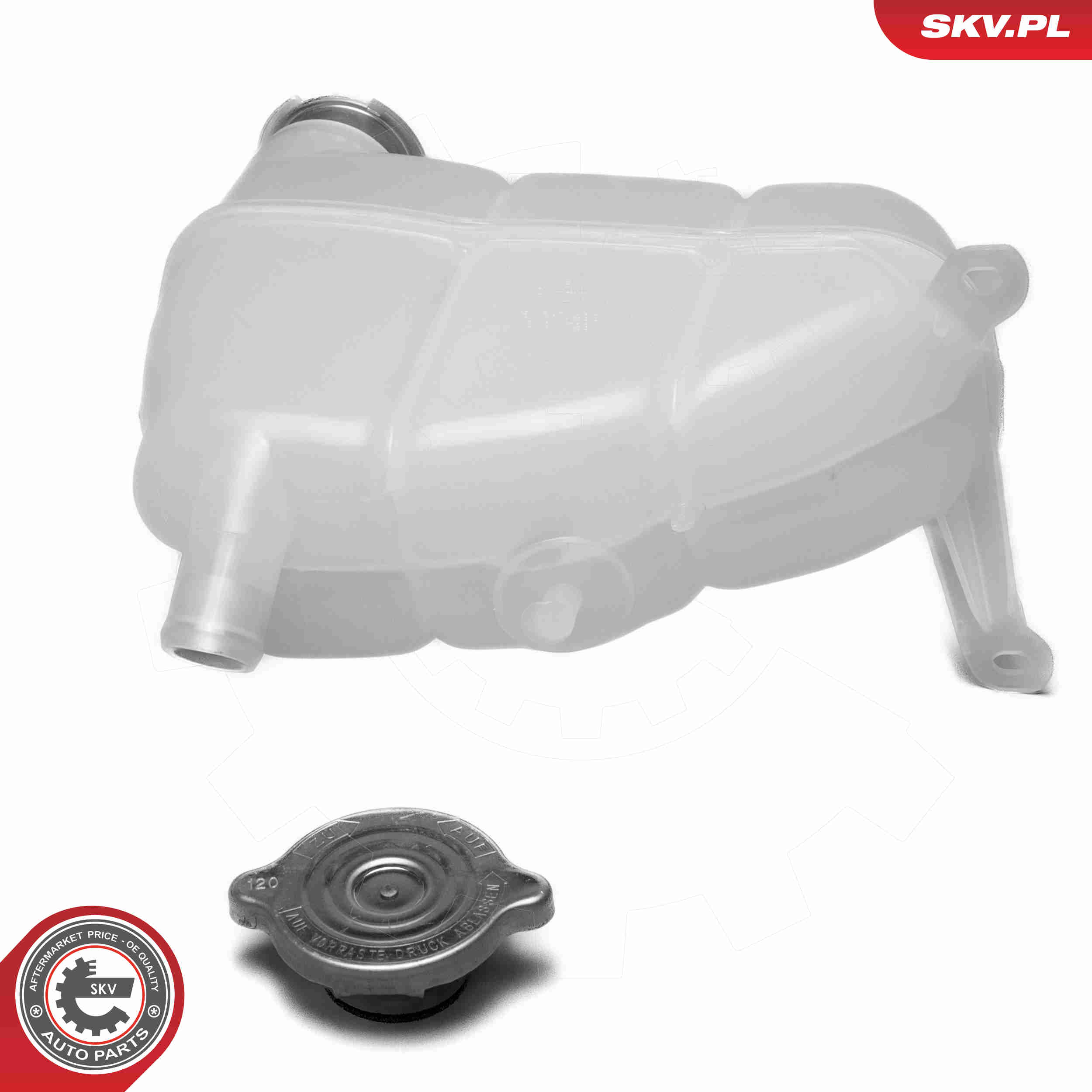 Expansion Tank, coolant - 61SKV490 ESEN SKV
