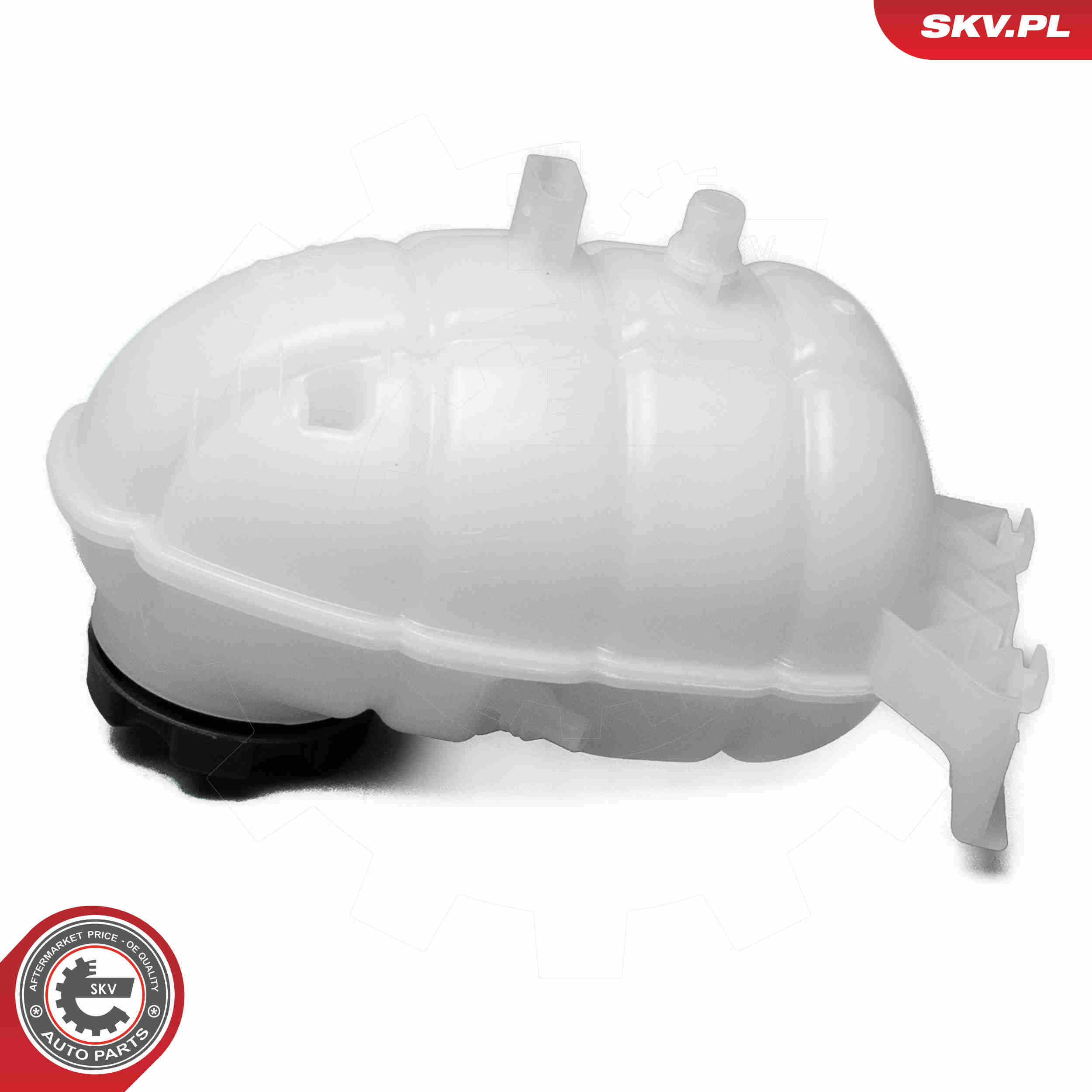 Expansion Tank, coolant - 61SKV494 ESEN SKV
