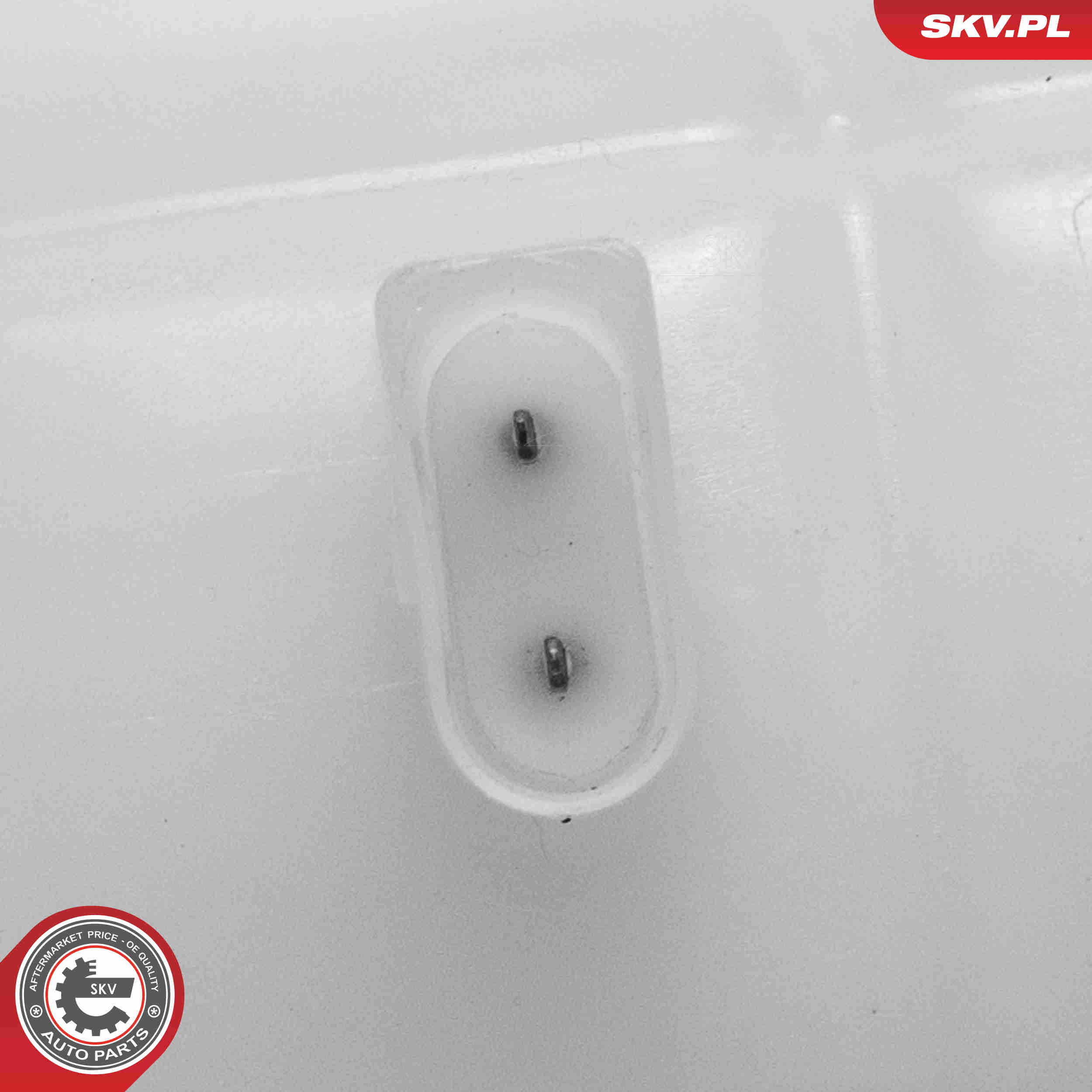 Expansion Tank, coolant - 61SKV494 ESEN SKV