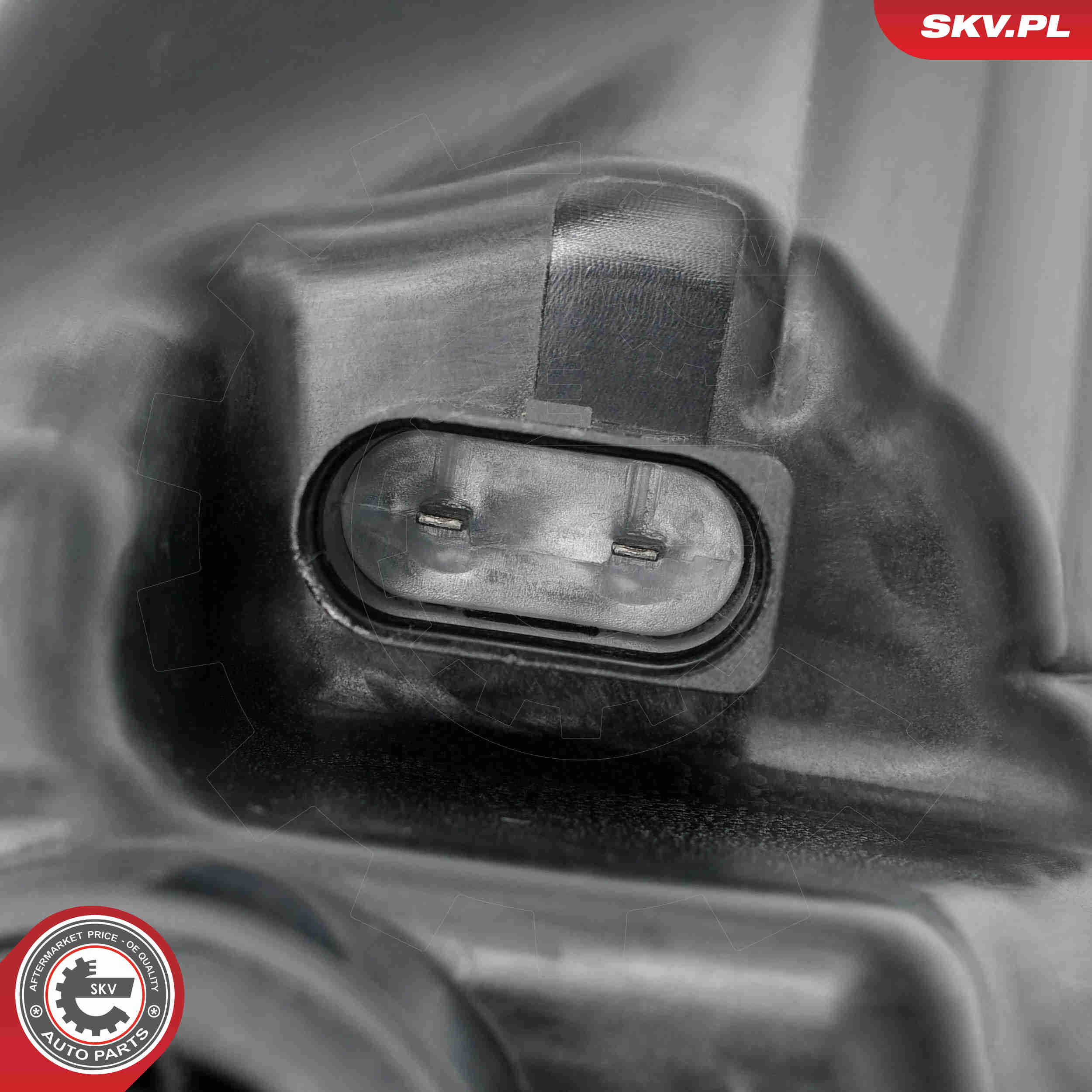 Expansion Tank, coolant - 61SKV516 ESEN SKV