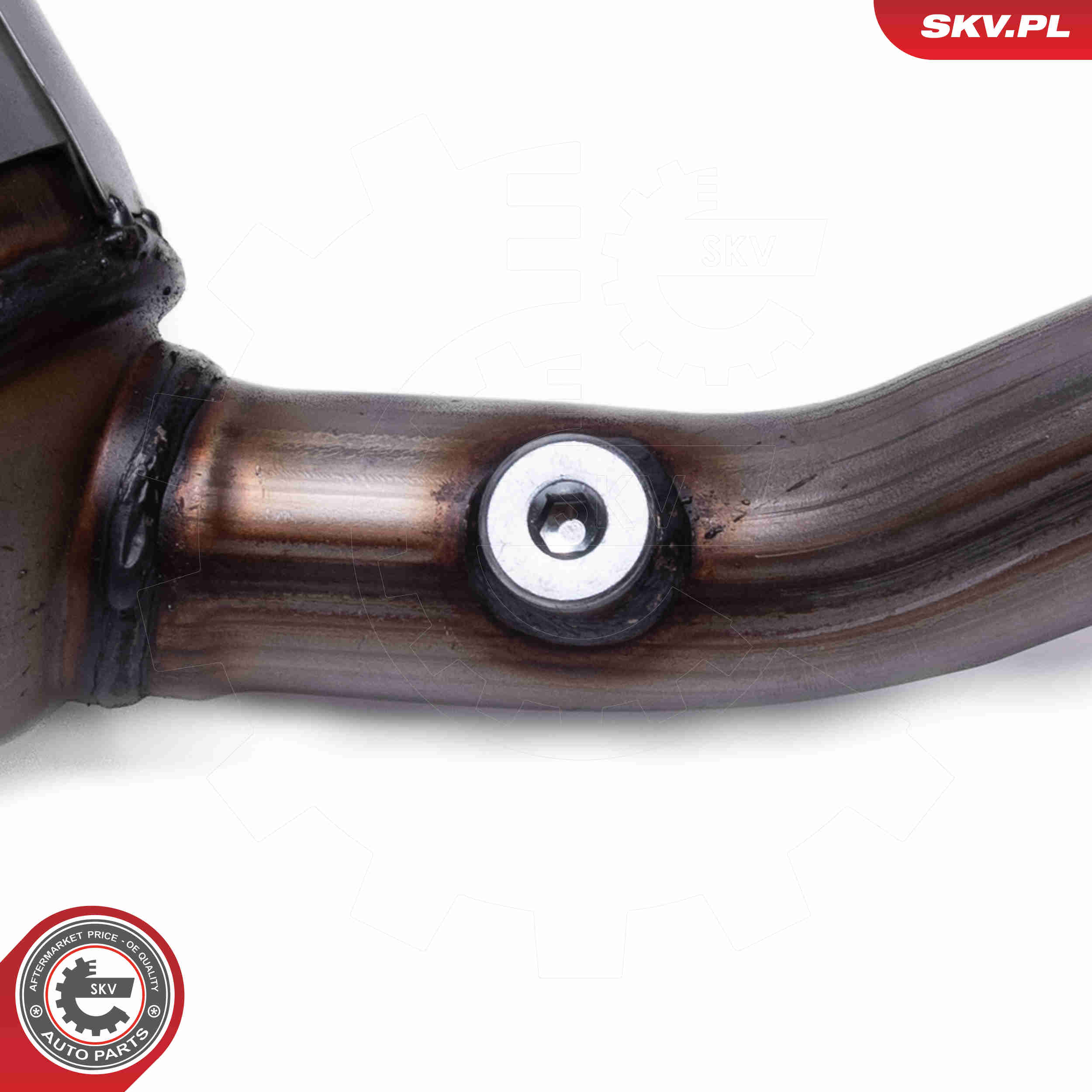 Catalytic Converter - 62SKV016 ESEN SKV