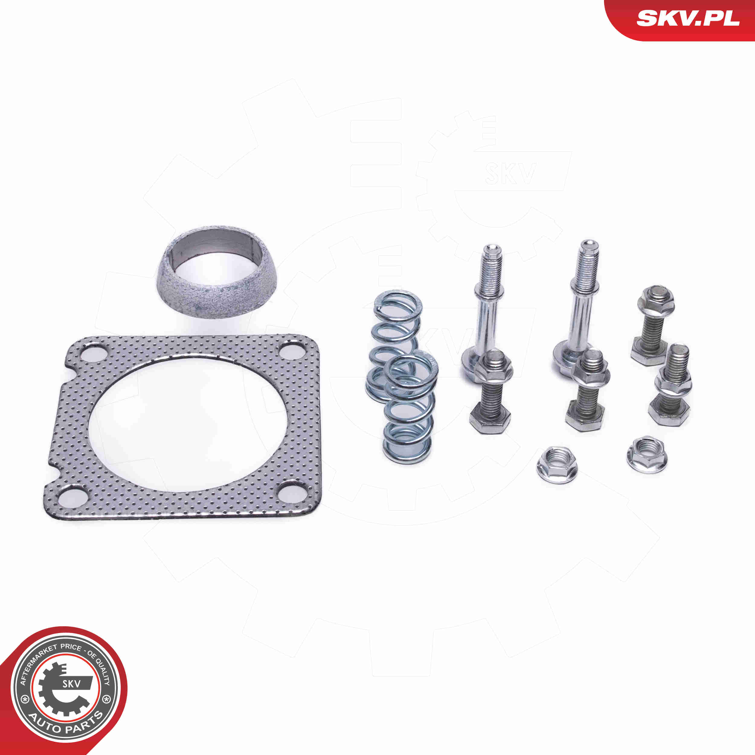 Catalytic Converter - 62SKV016 ESEN SKV