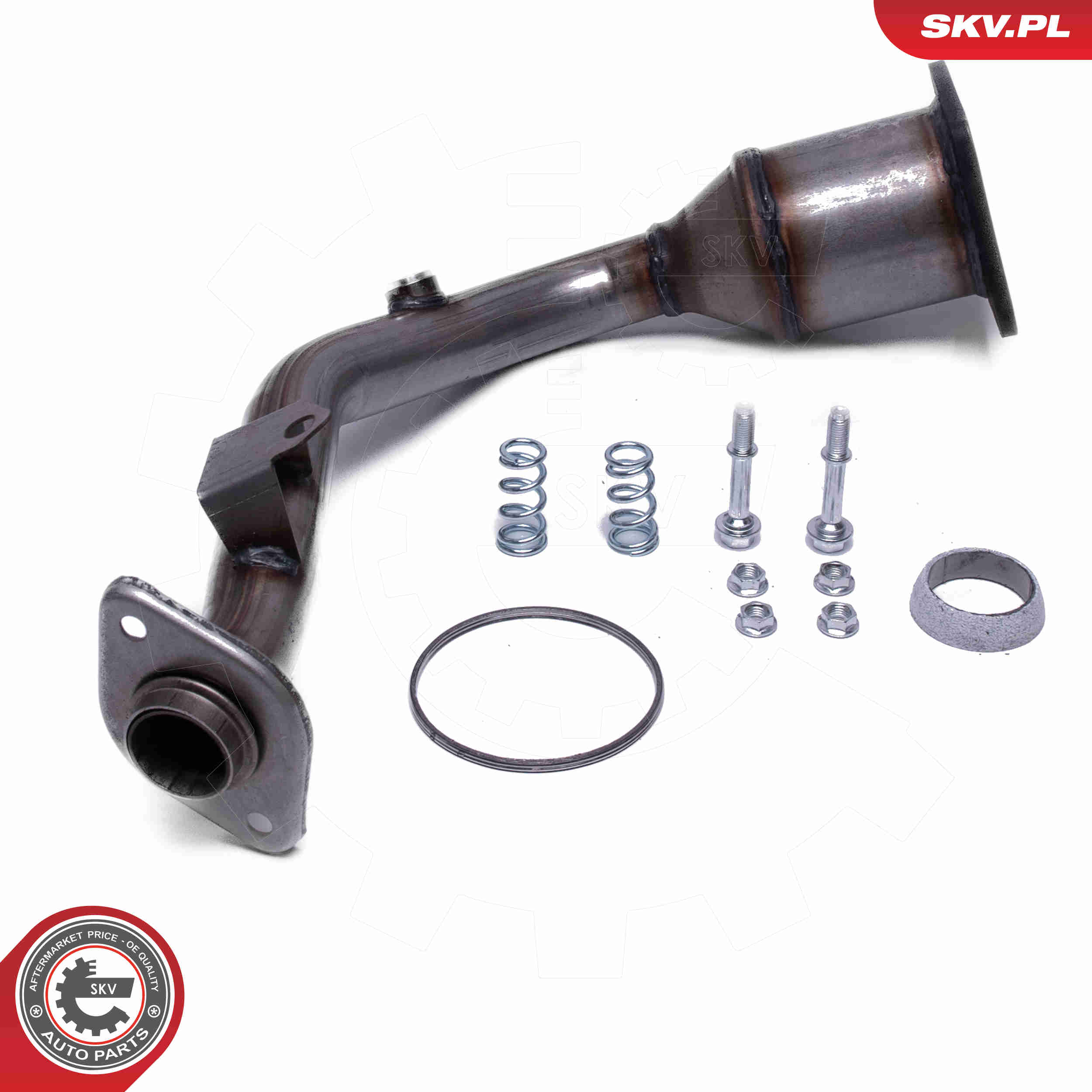 Catalytic Converter - 62SKV022 ESEN SKV