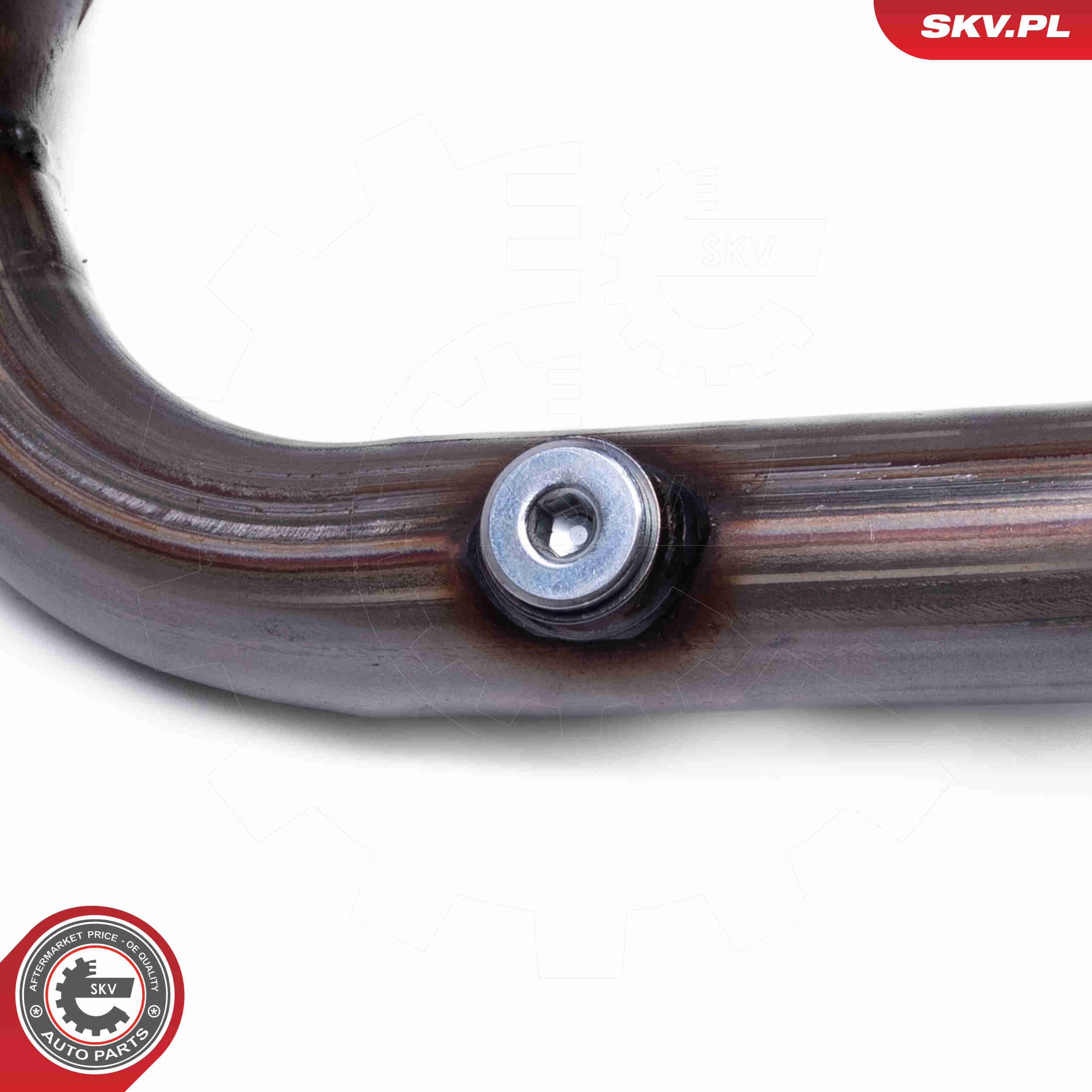 Catalytic Converter - 62SKV022 ESEN SKV