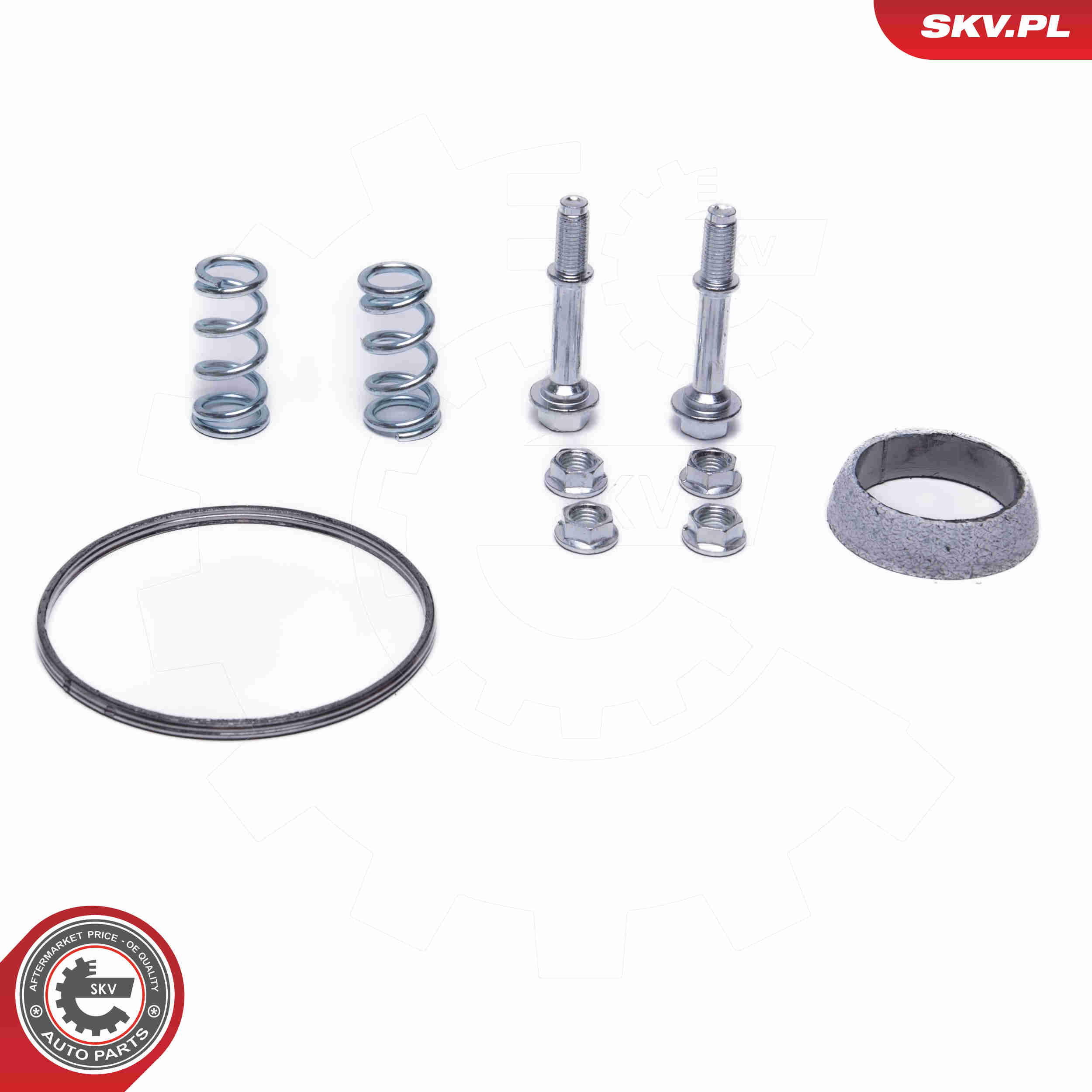 Catalytic Converter - 62SKV022 ESEN SKV
