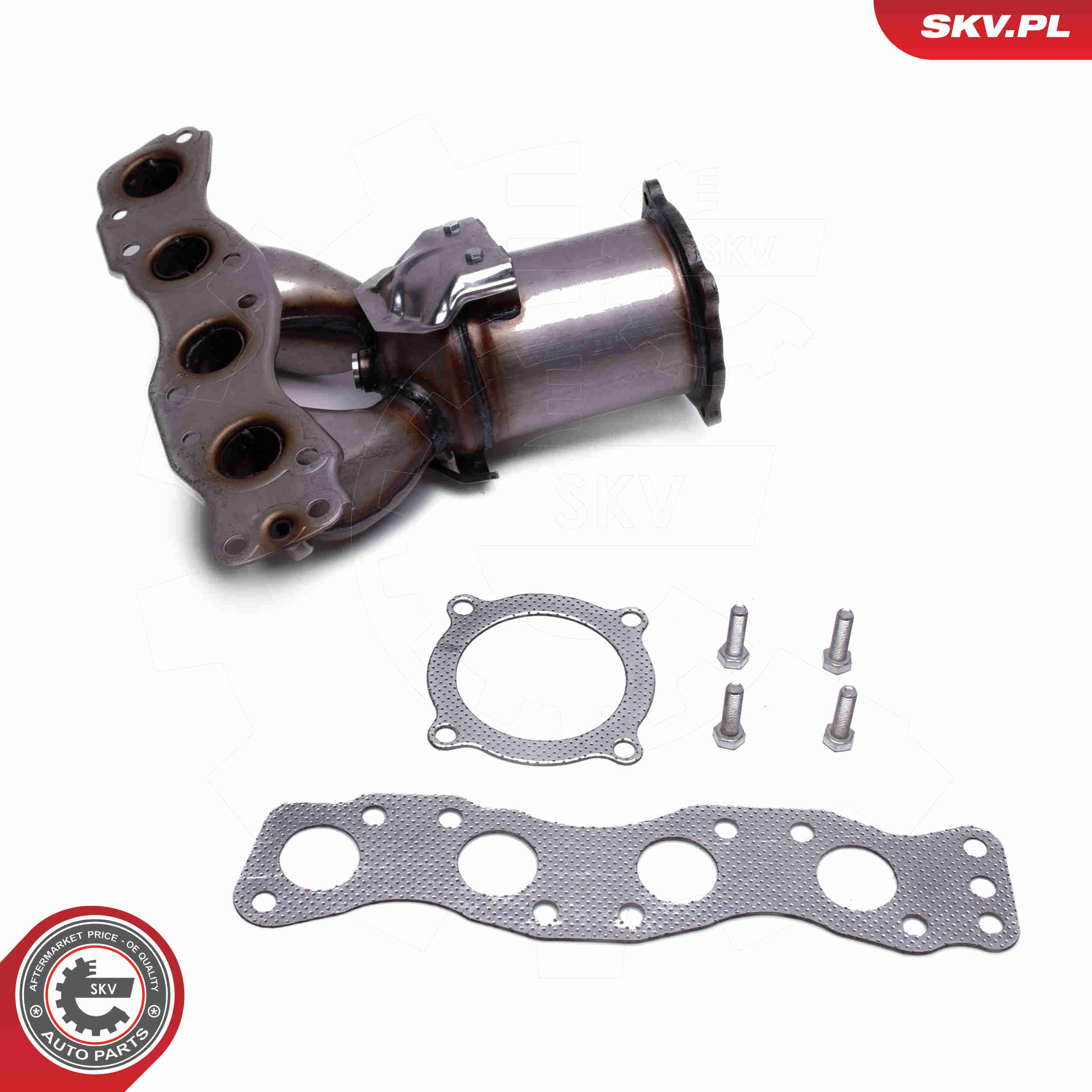 Catalytic Converter - 62SKV023 ESEN SKV
