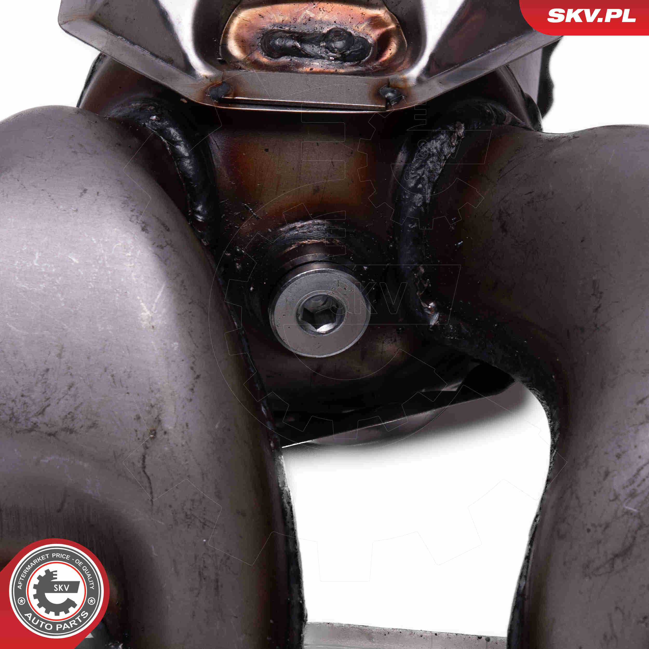 Catalytic Converter - 62SKV023 ESEN SKV