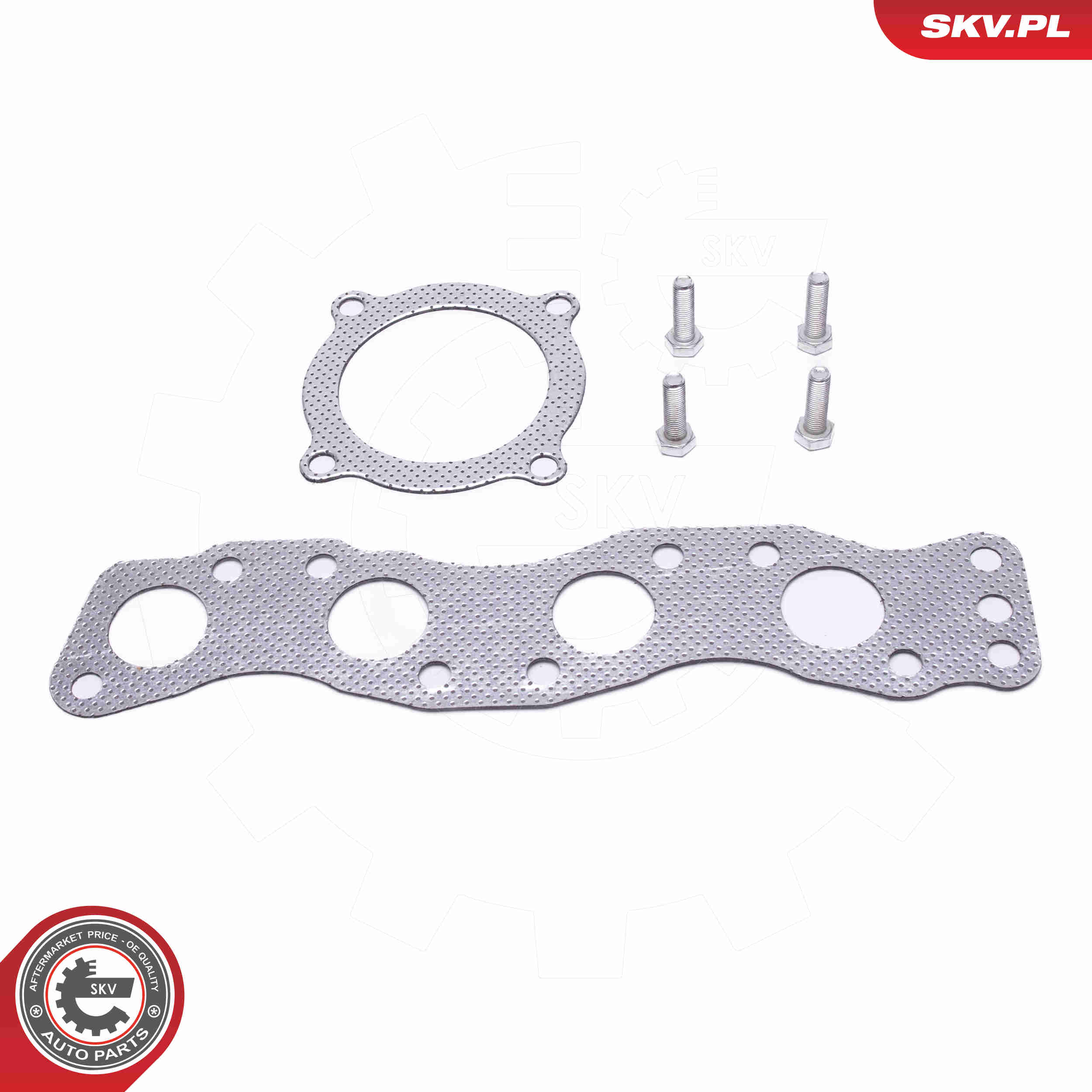Catalytic Converter - 62SKV023 ESEN SKV